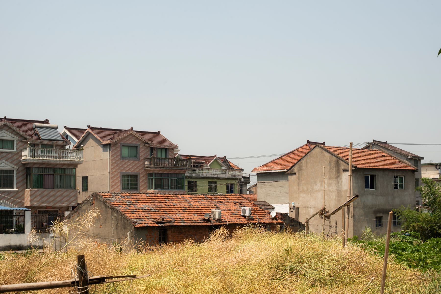 Cluster of residential buildings with varying roof styles behind a field of tall, dry grass