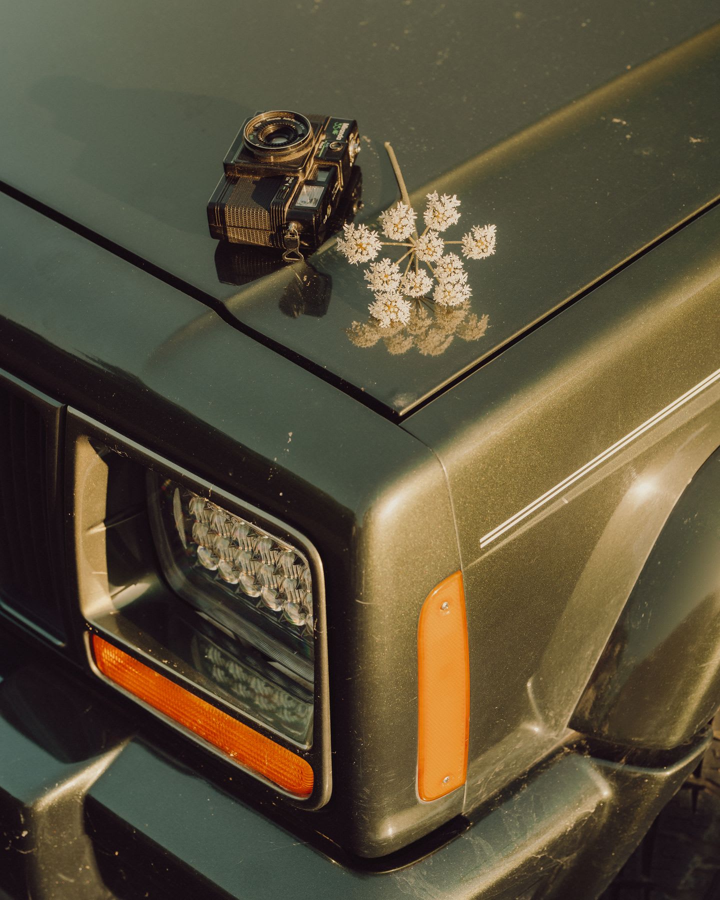 A vintage camera and a small cluster of white flowers placed on the hood of a dark-colored car