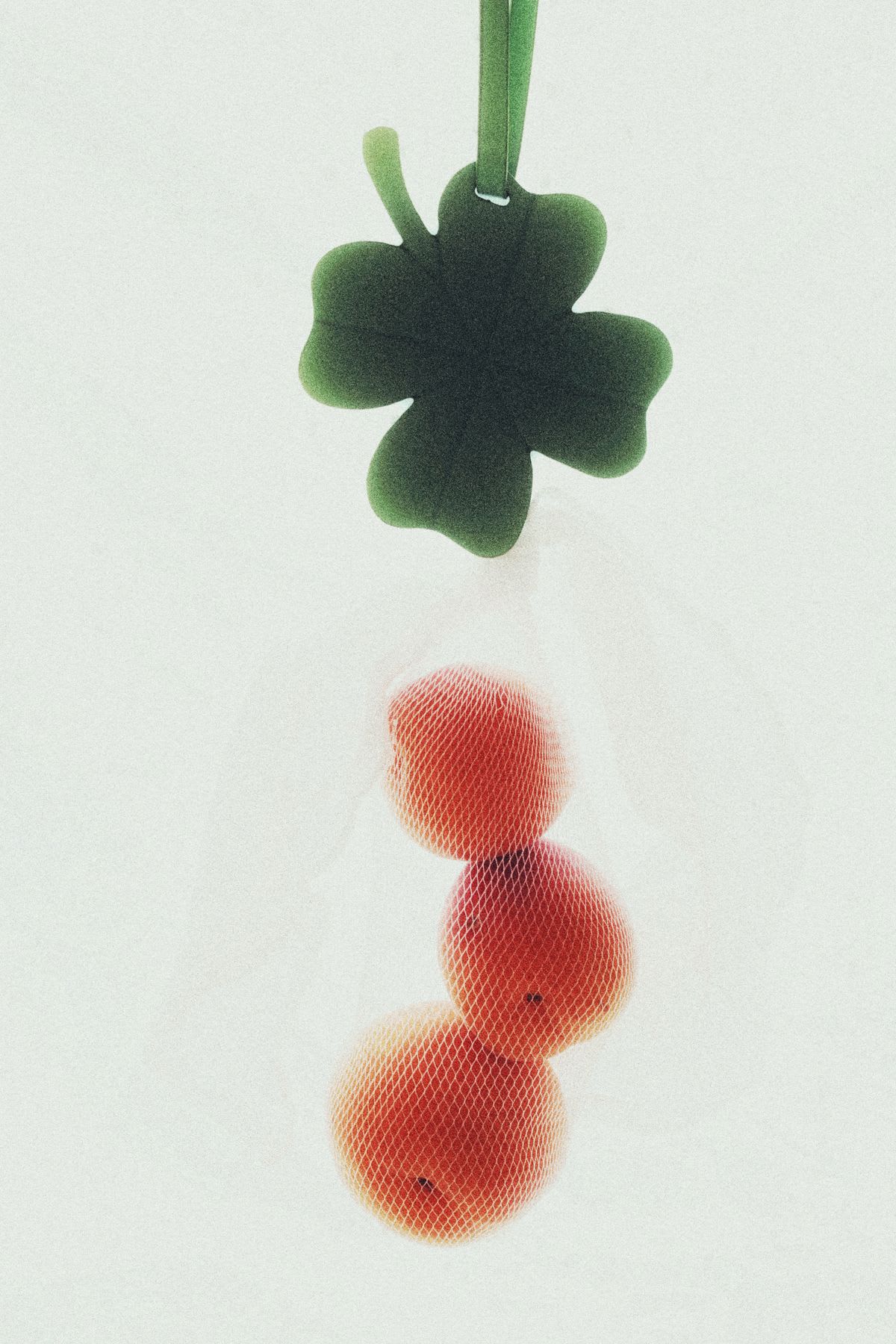 Three oranges in a small net hanging from a four-leaf clover.