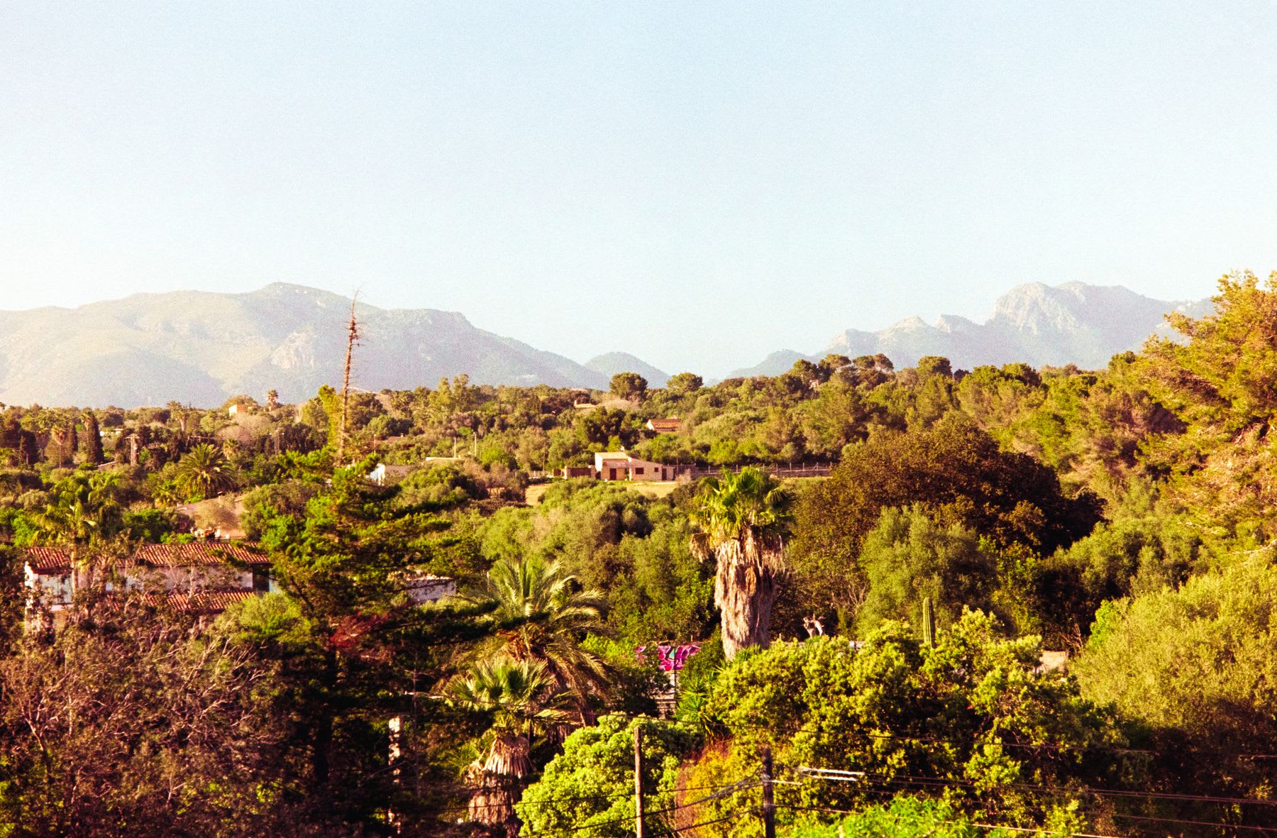 A scenic view of a lush green hillside dotted with houses, with a large mountain range visible in the hazy background.