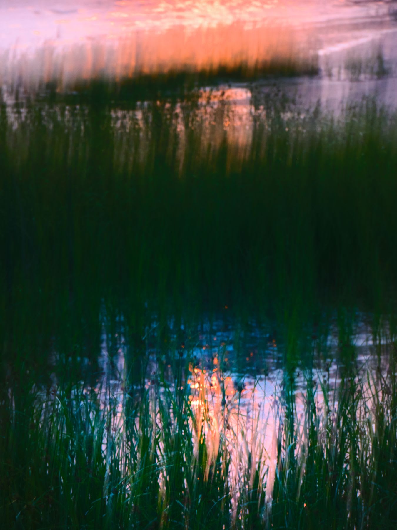 The colorful reflection of the sunset on a lake surrounded by vegetation.