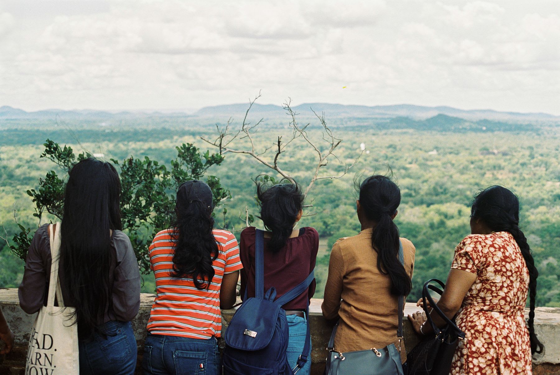 Five women seen from behind as they admire the panoramic view of a lush, green forest from a high vantage point.