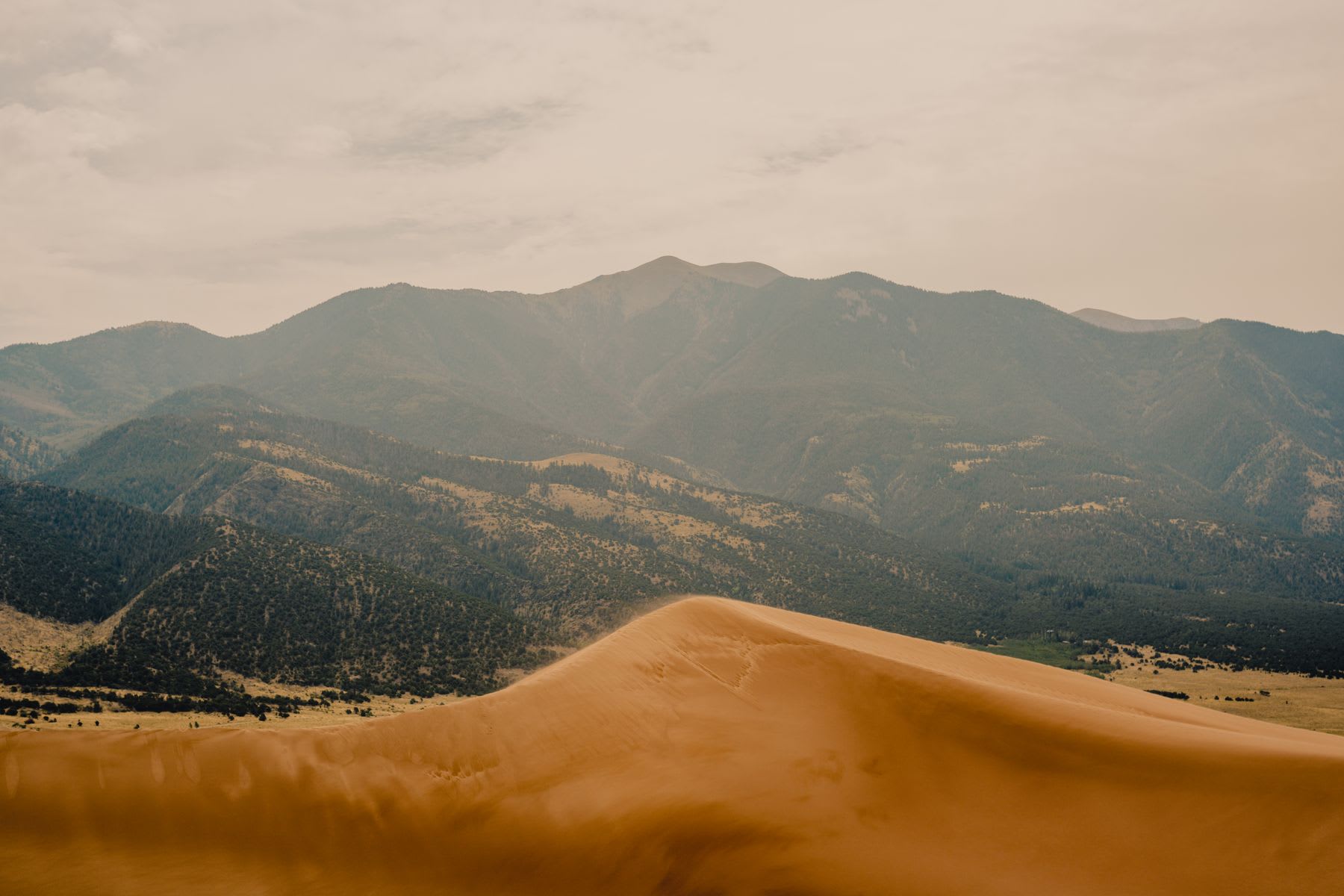 A mountain range is covered with evergreen trees on a partly cloudy day.