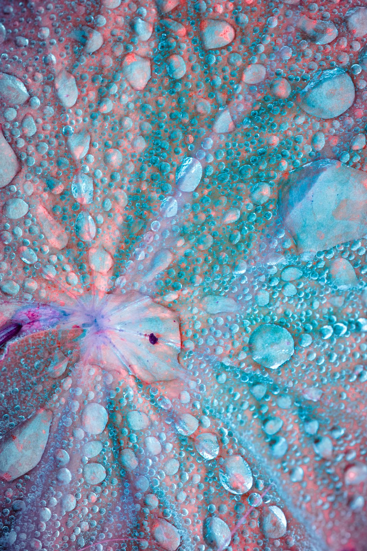 water on a object giving irridisancent colors