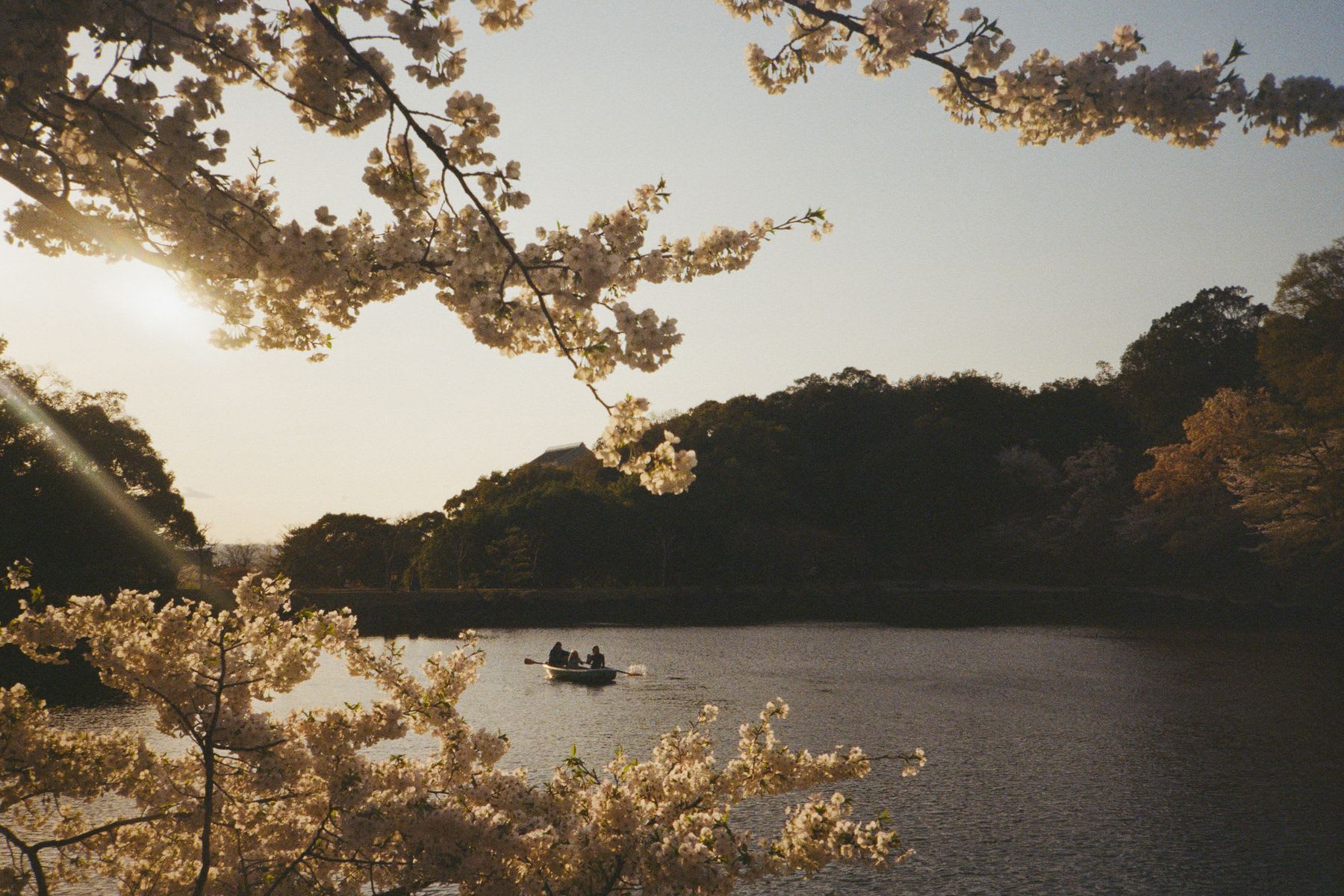People in a small boat sail on a forested mountain lake