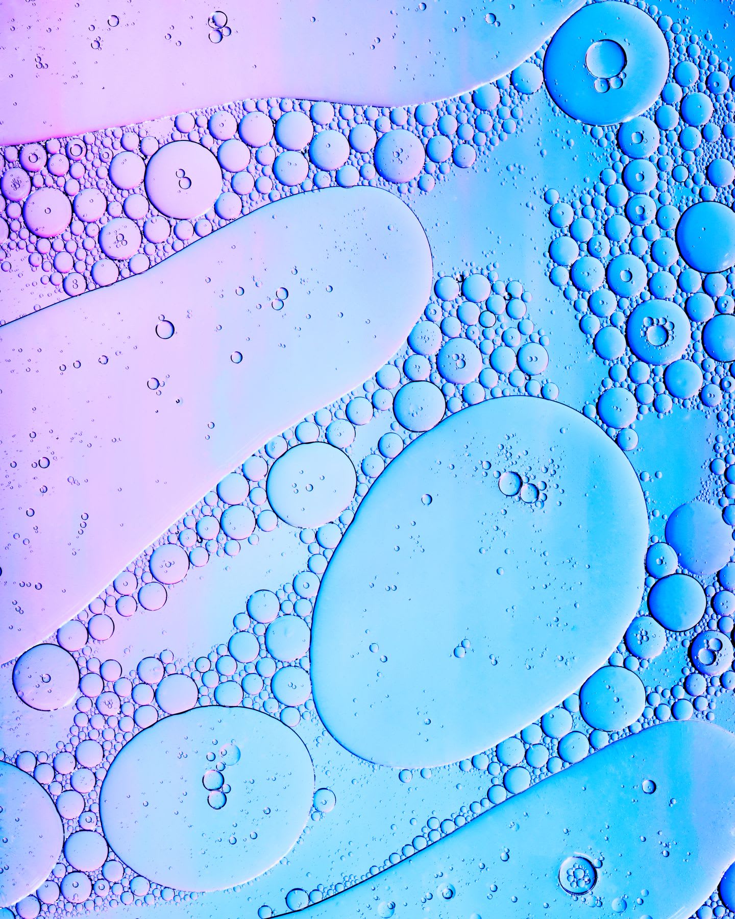 Extreme close up of intricately patterned liquid bubbles floating against a gradient background ranging from pink to blue.