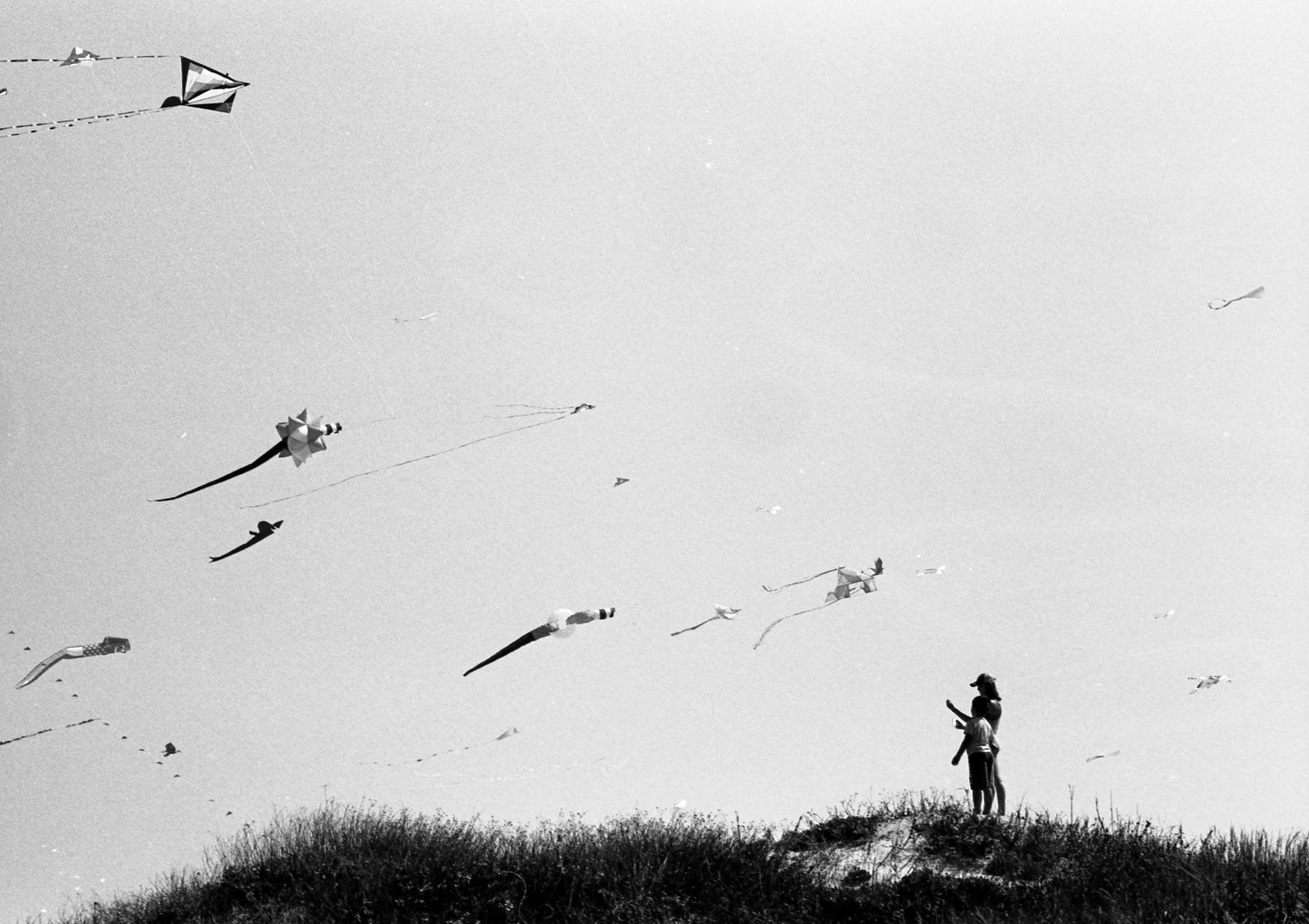 A person standing outdoors flying some kites
