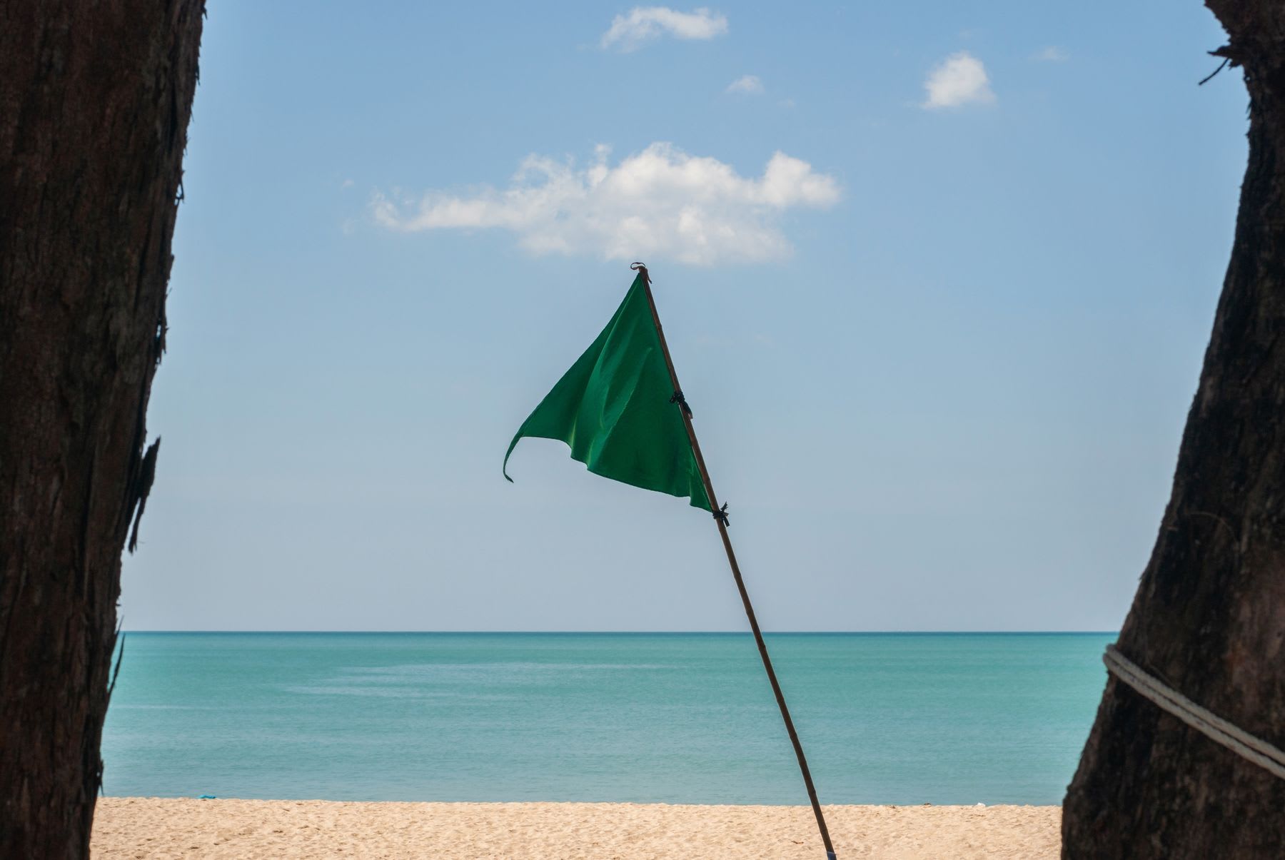 A single green flag between two trees overlooks the seashore and ocean