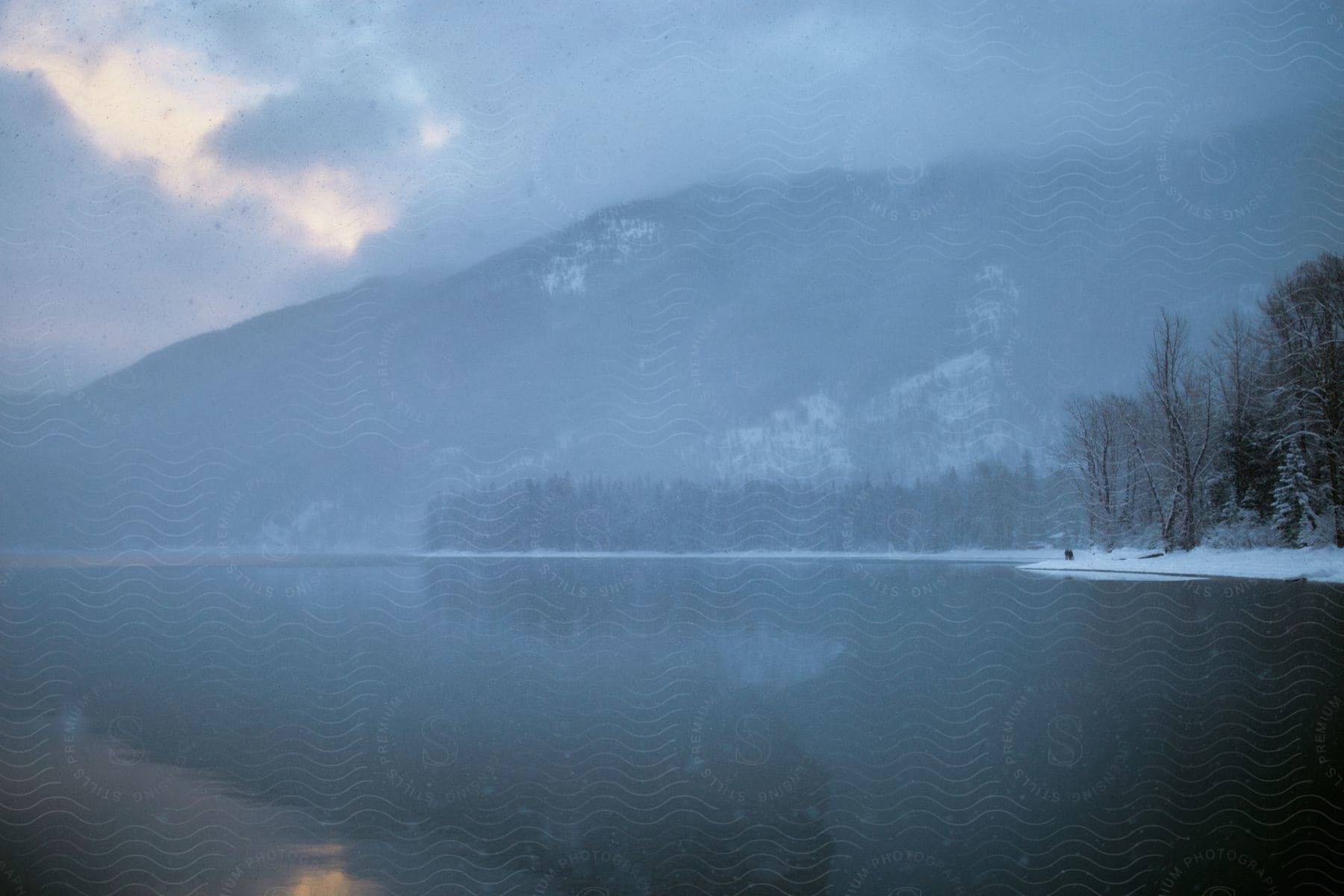 Trees grow along the snow covered coast as forested mountains reflect on the icy water under a foggy cloudy sky
