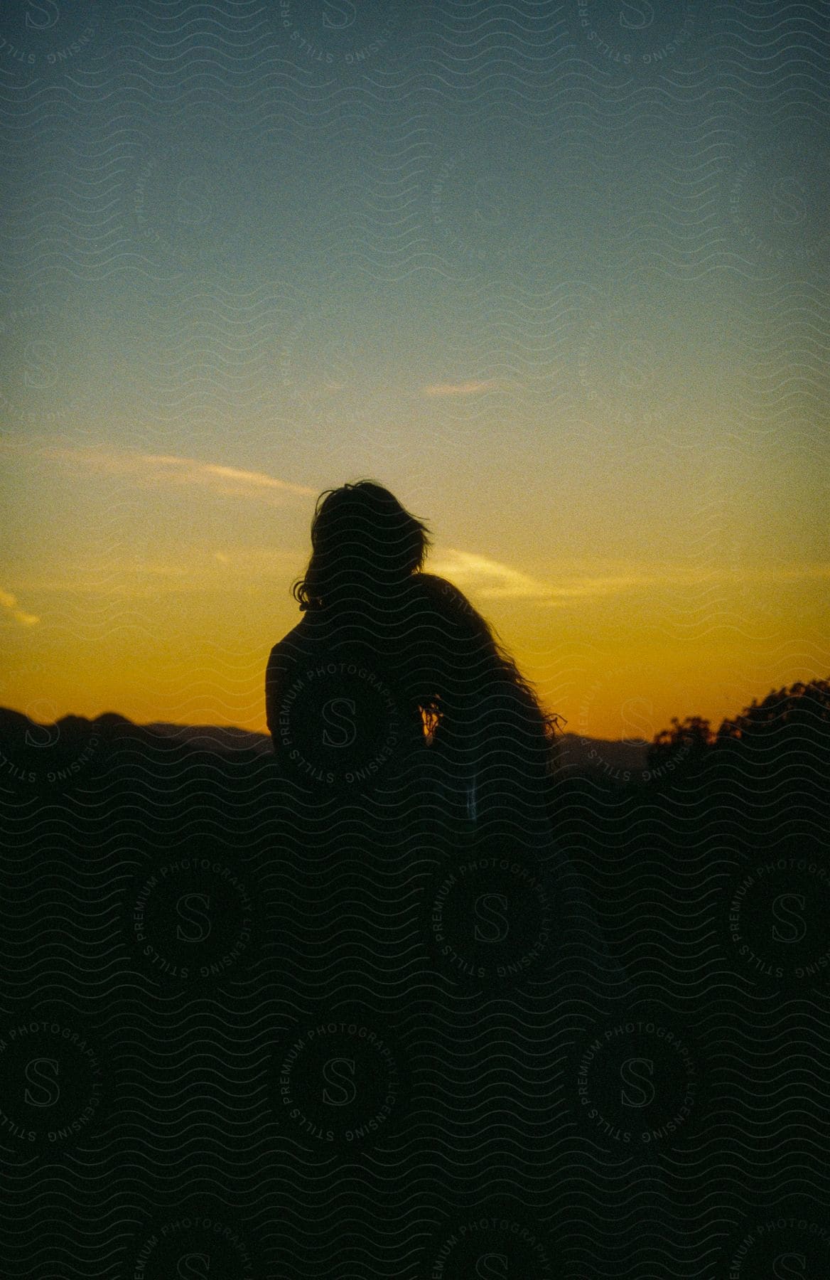 A couple hugging in nature during the sunset.