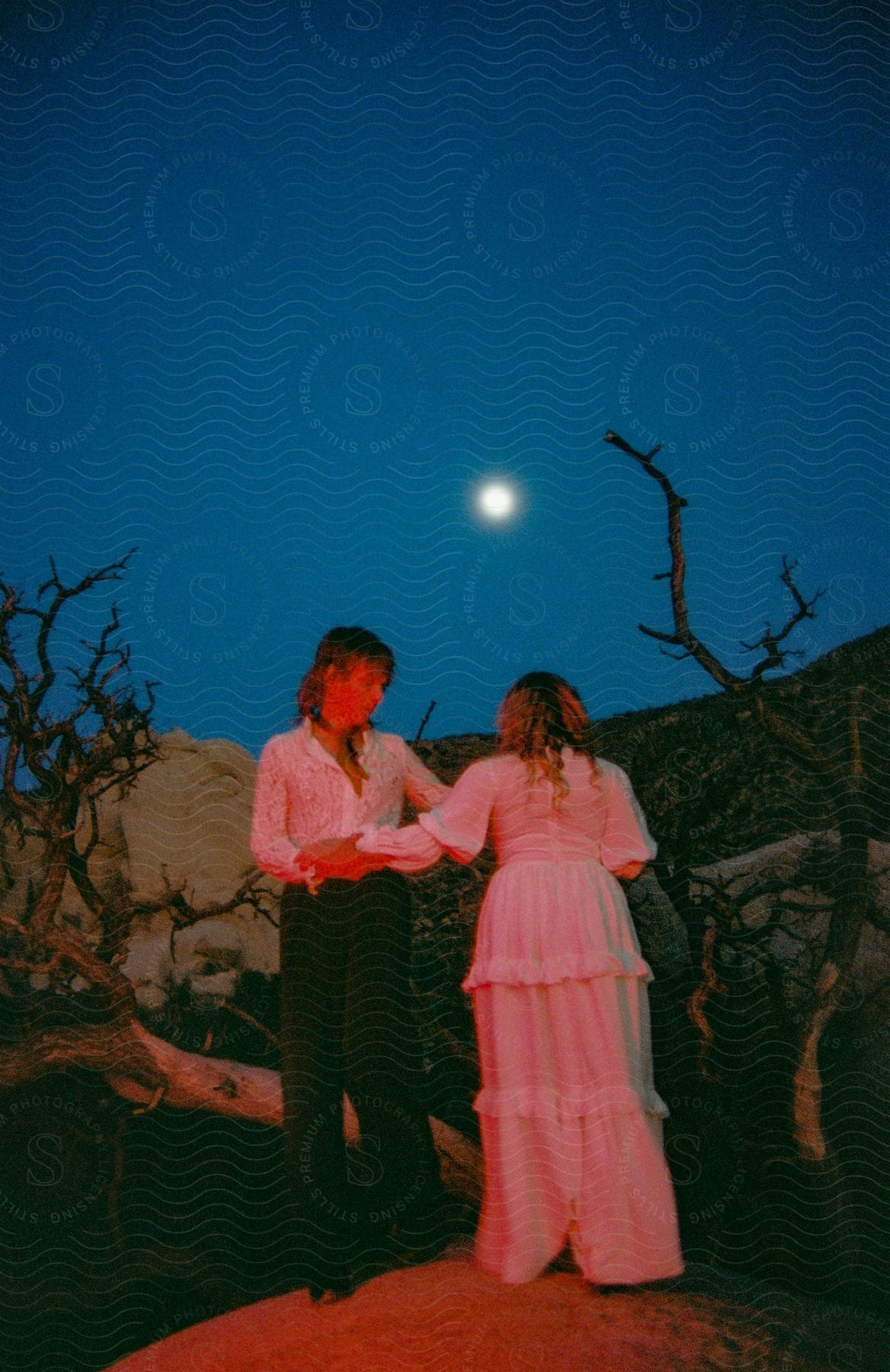 A man and a women are holding hands standing under the moon light.