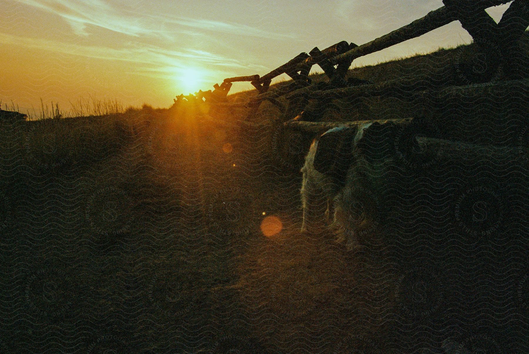 A dog walks along a rough log fence at dawn.