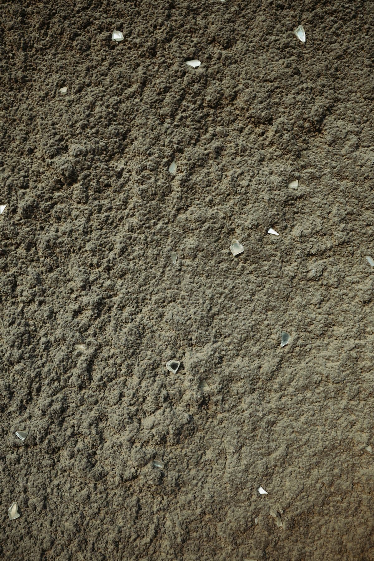 White flecks over brown soil