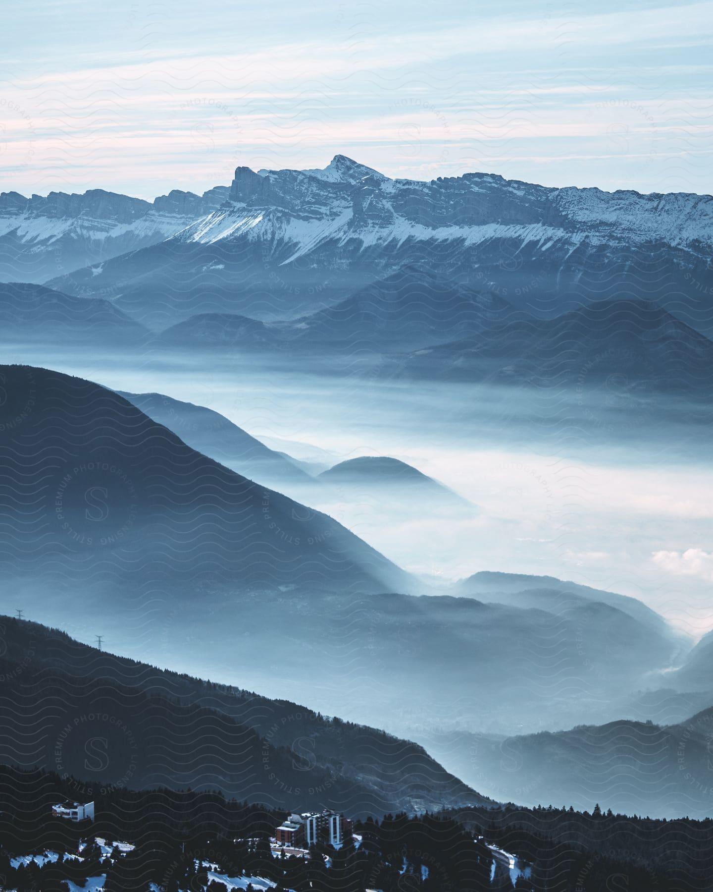 Aerial of pine forest with snowy mountains.