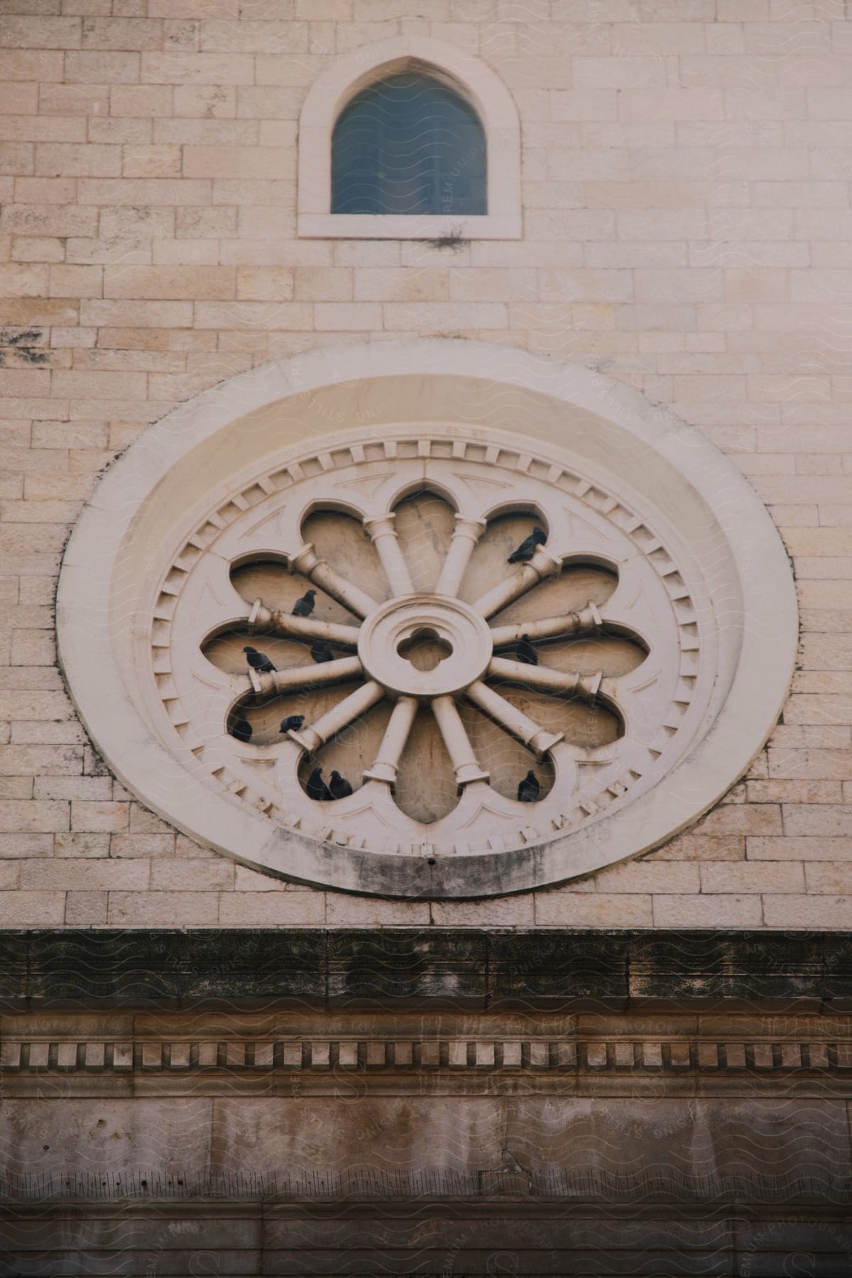 Birds perch in circular architectural ornament on the side of building during the day.