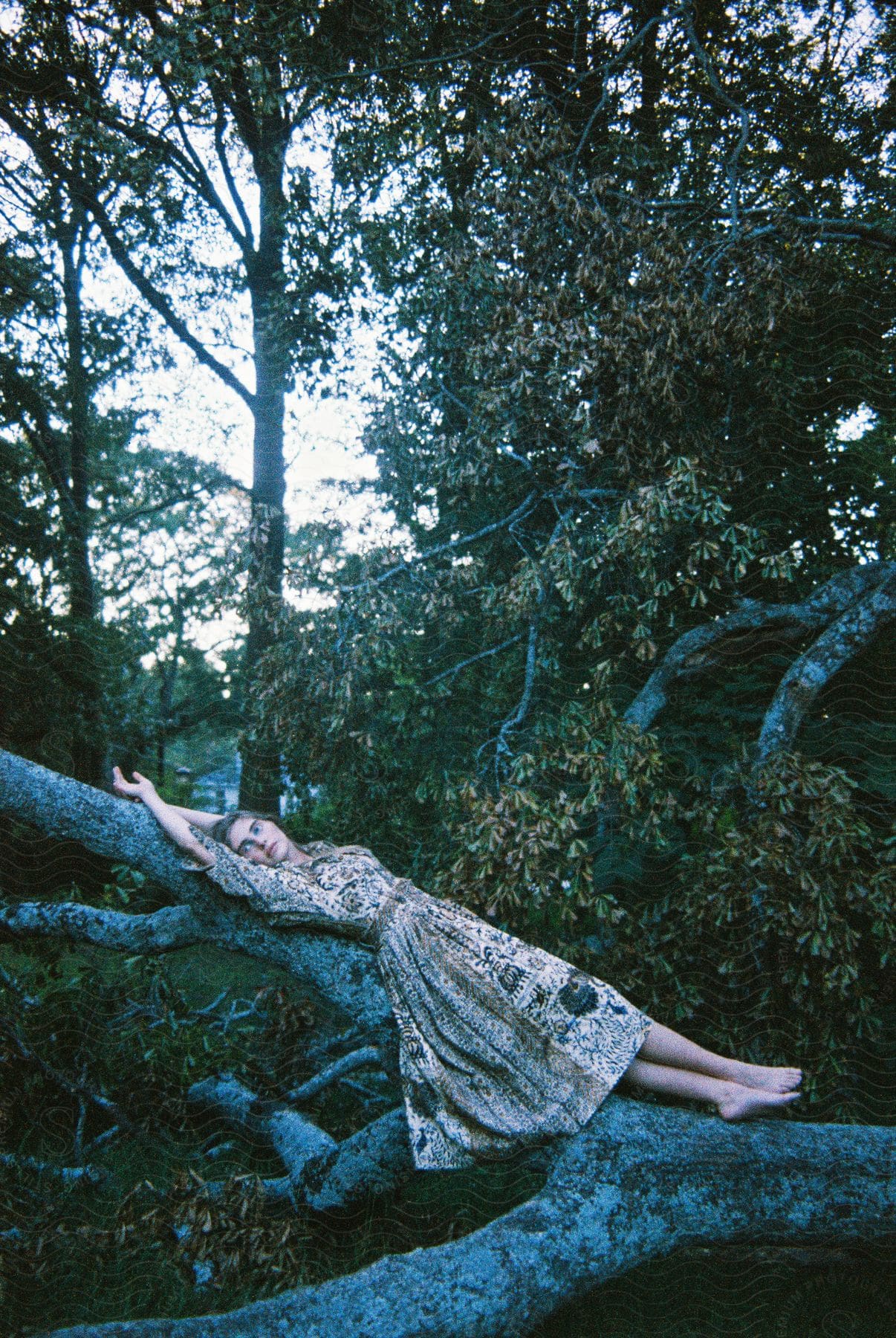 A woman in a dress lies on a tree trunk in the green forest