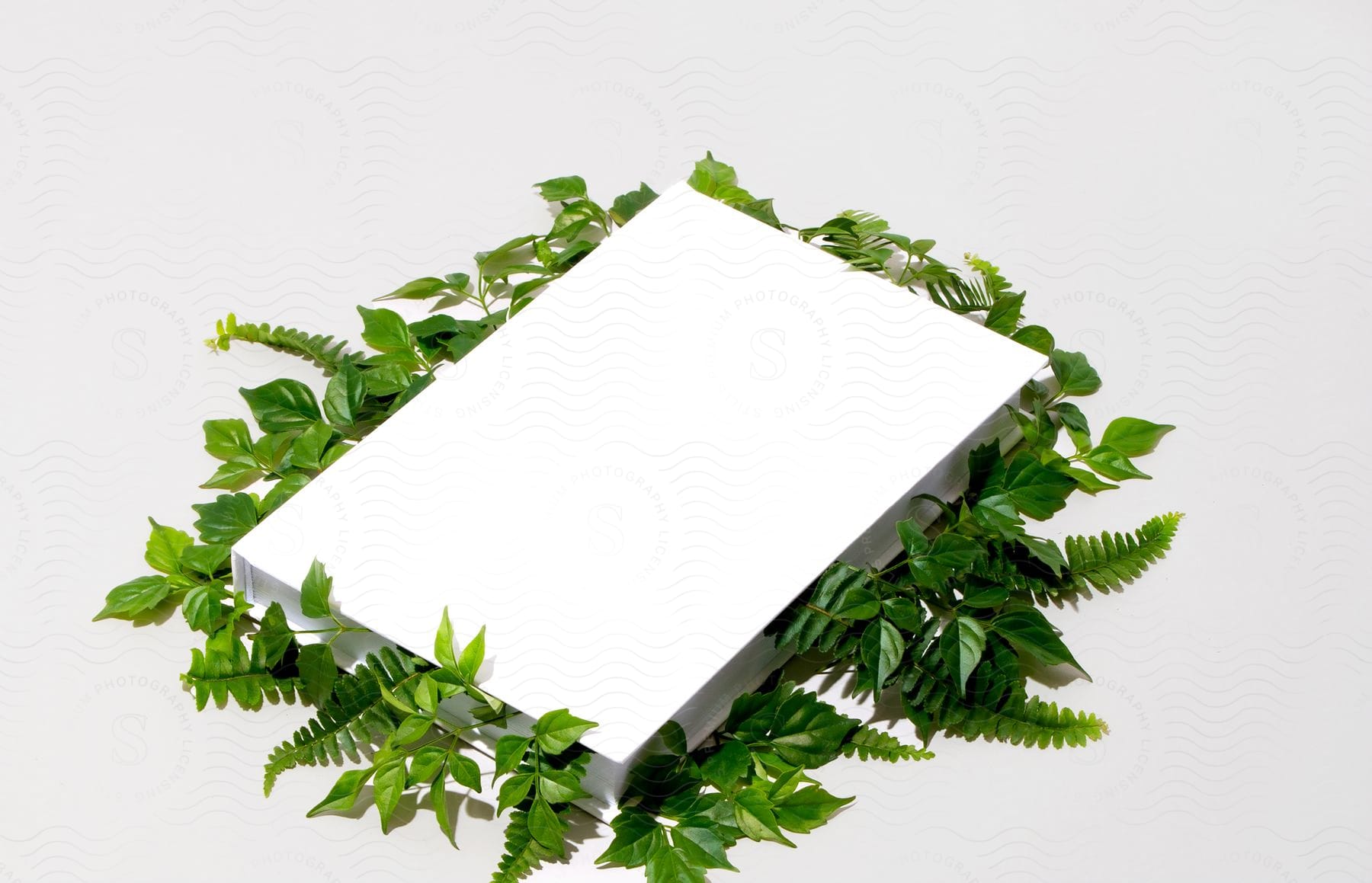 a white book surrounded by green leaves on a white background