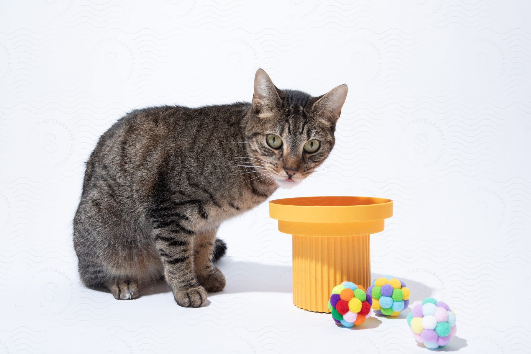 A cat sitting next to some toys inside of a house.