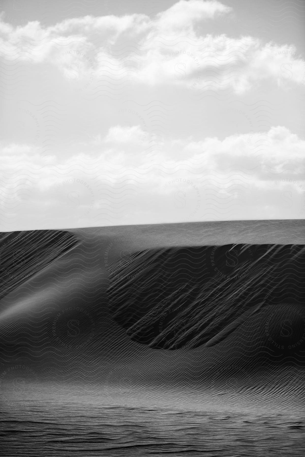 Landscape of a sand dune in the desert