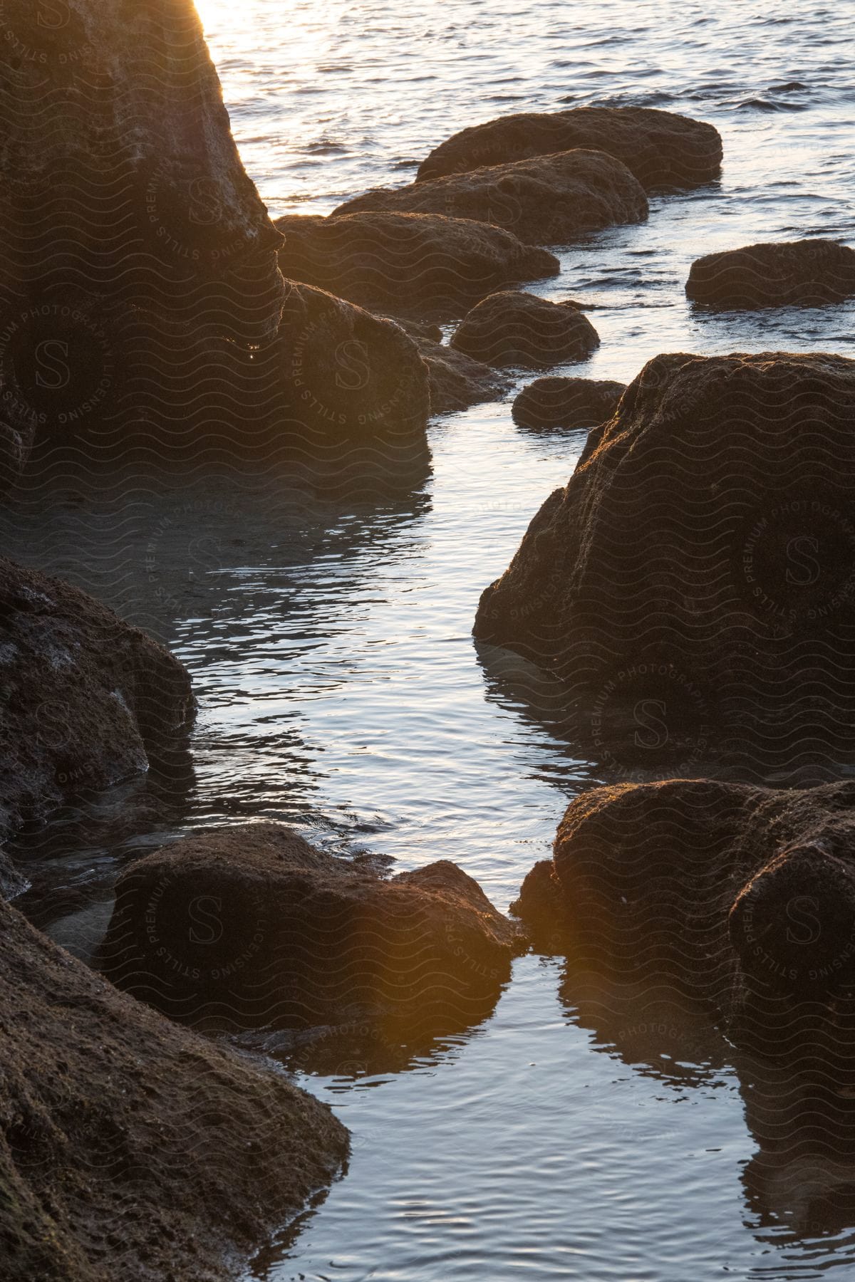 A coastal region with several rocks of different sizes on top of the water that are reflecting sunlight.