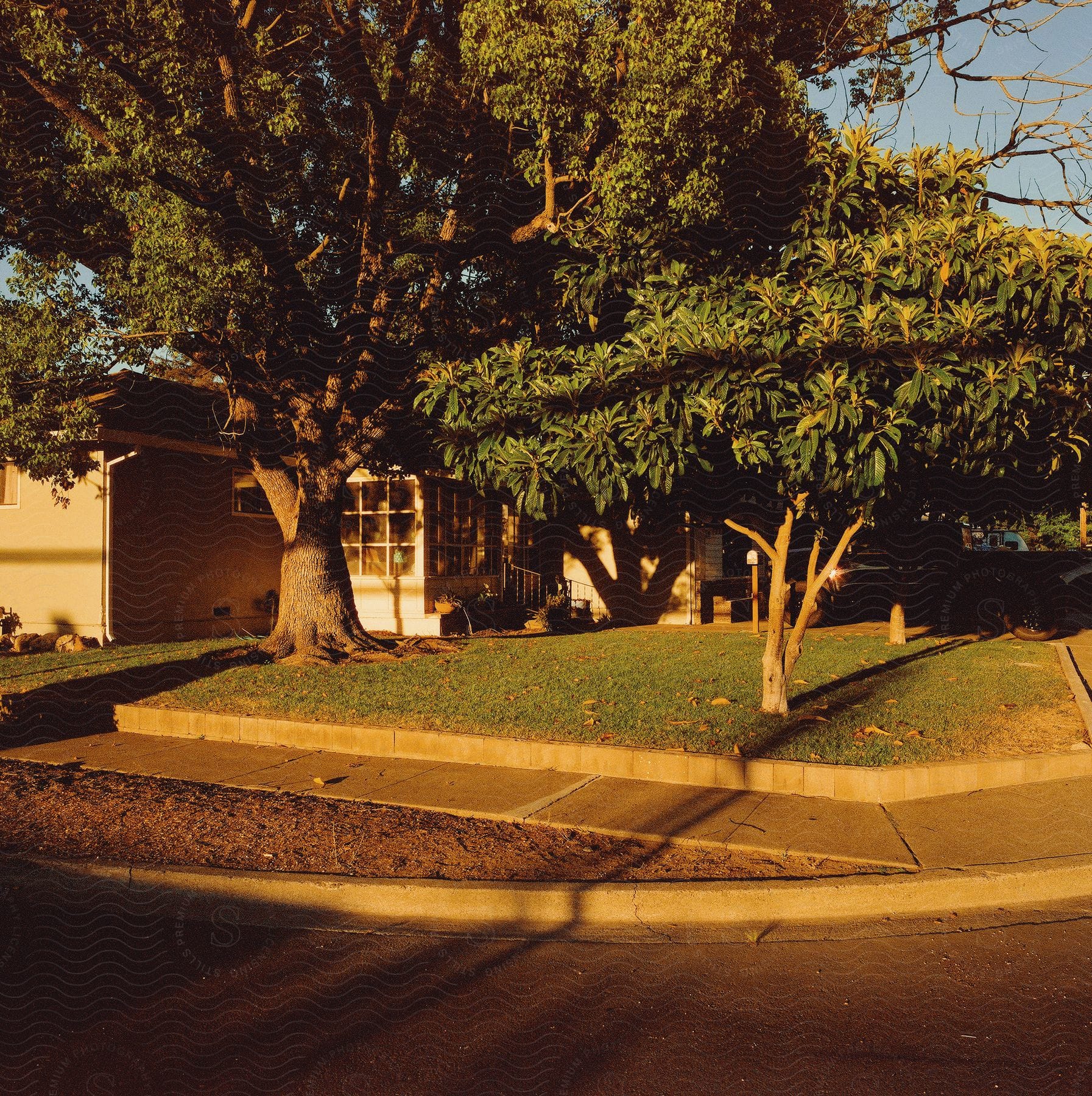 A house bathed in sunlight with trees in front.