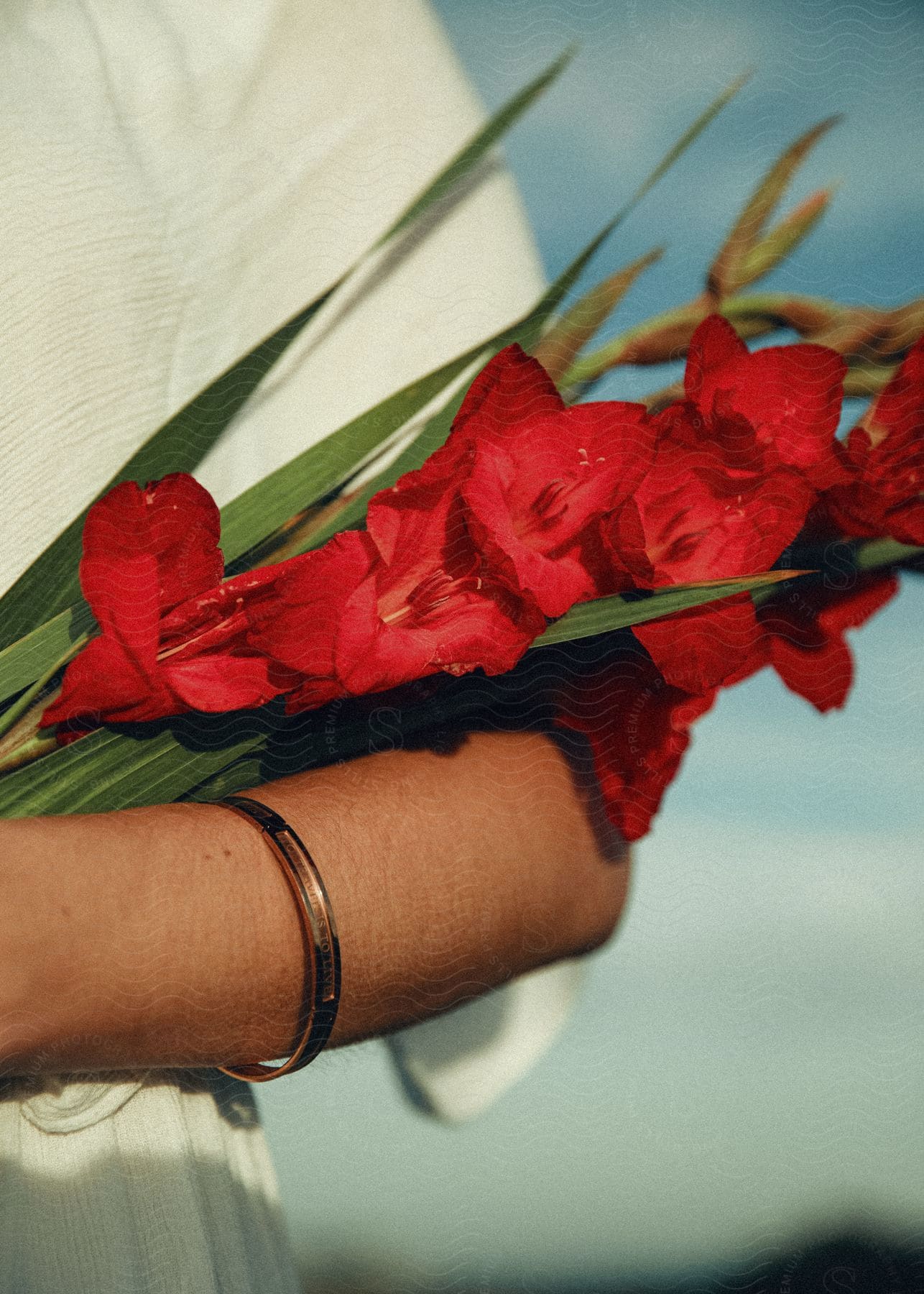 Woman holding a bouquet of red flowers