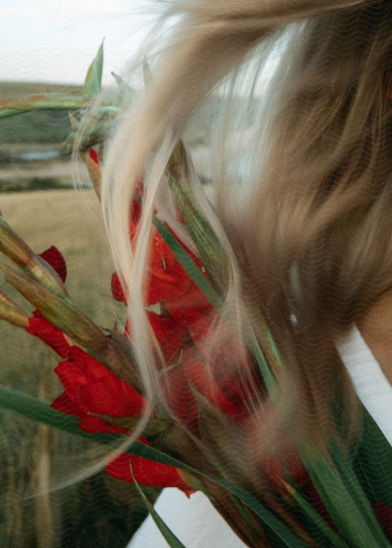 Close-up of a blonde woman's hair holding a bouquet of red flowers.