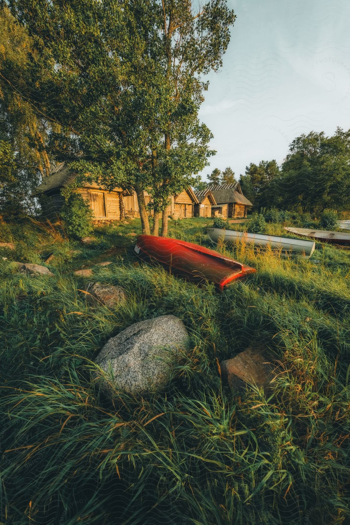 Small boats are lying on the grass near trees on a hill with buildings in the distance