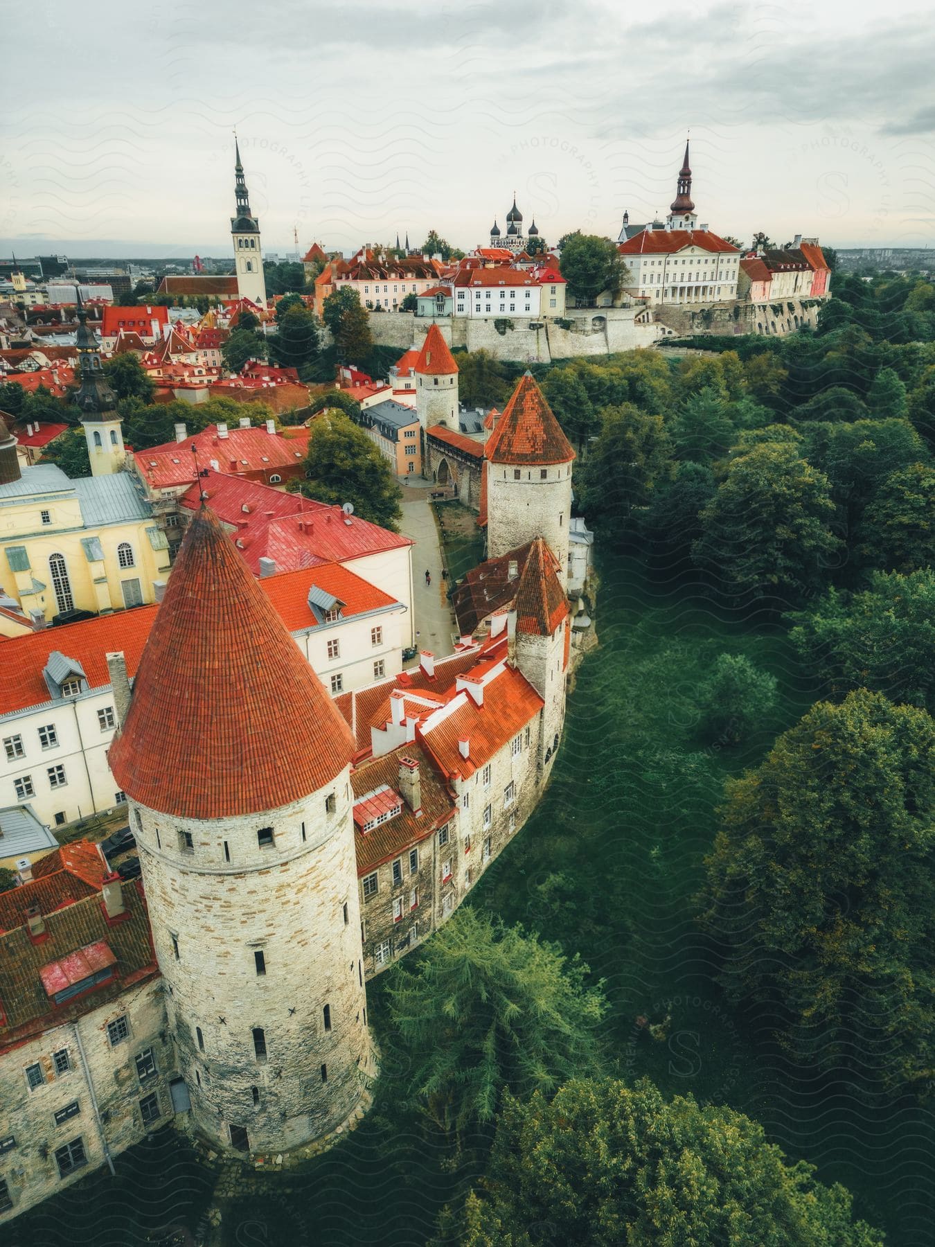 The Towers of Estonia stand tall over trees on Towers Square