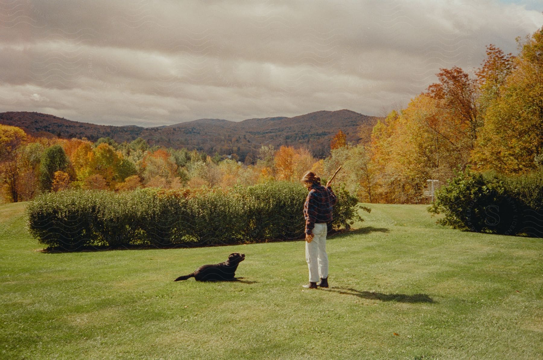A women is playing fetch with her dog in the fall.