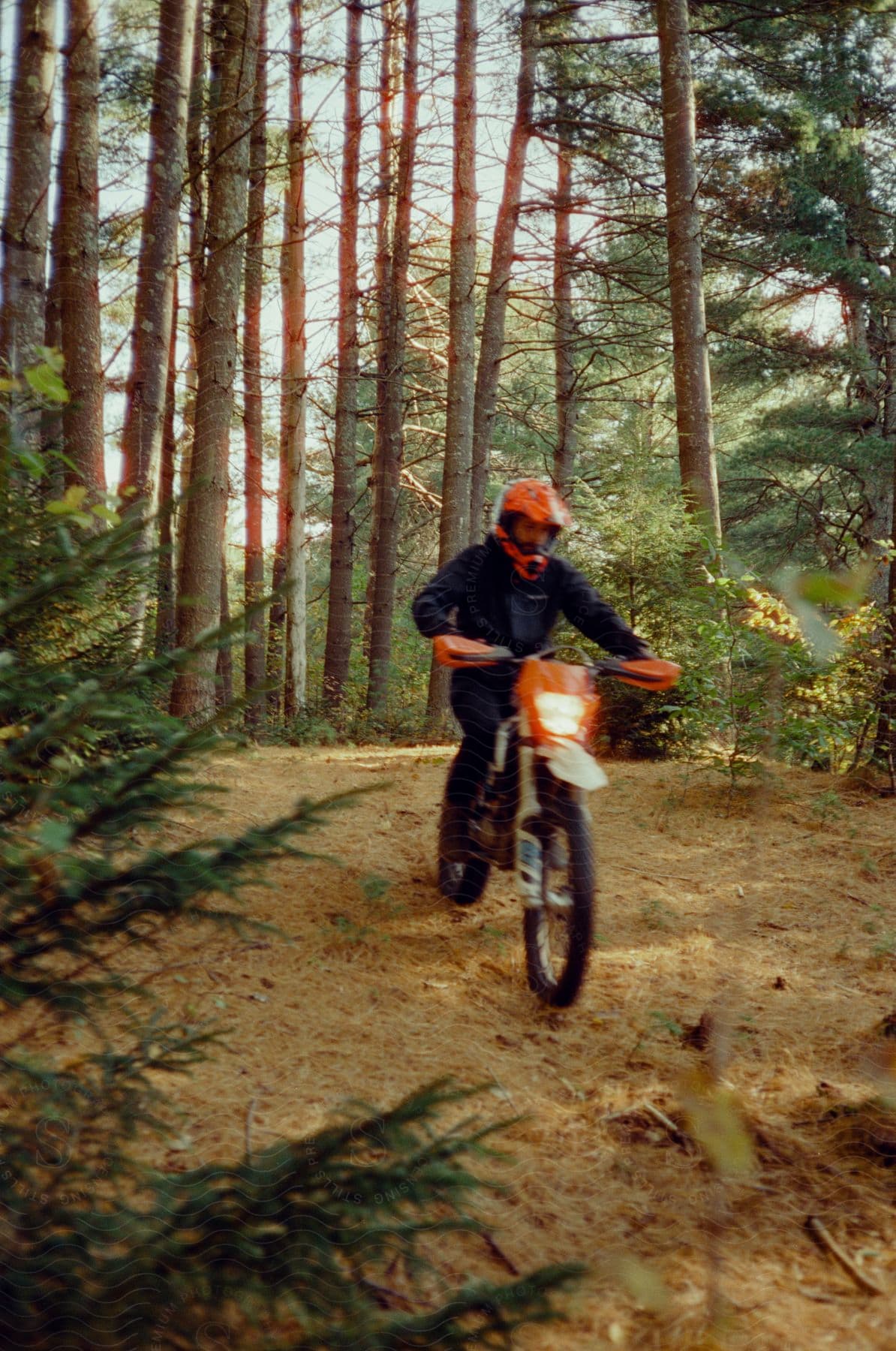 Biker with wearing an orange helmet and a dark blue jacket rides dirt bike in the woods