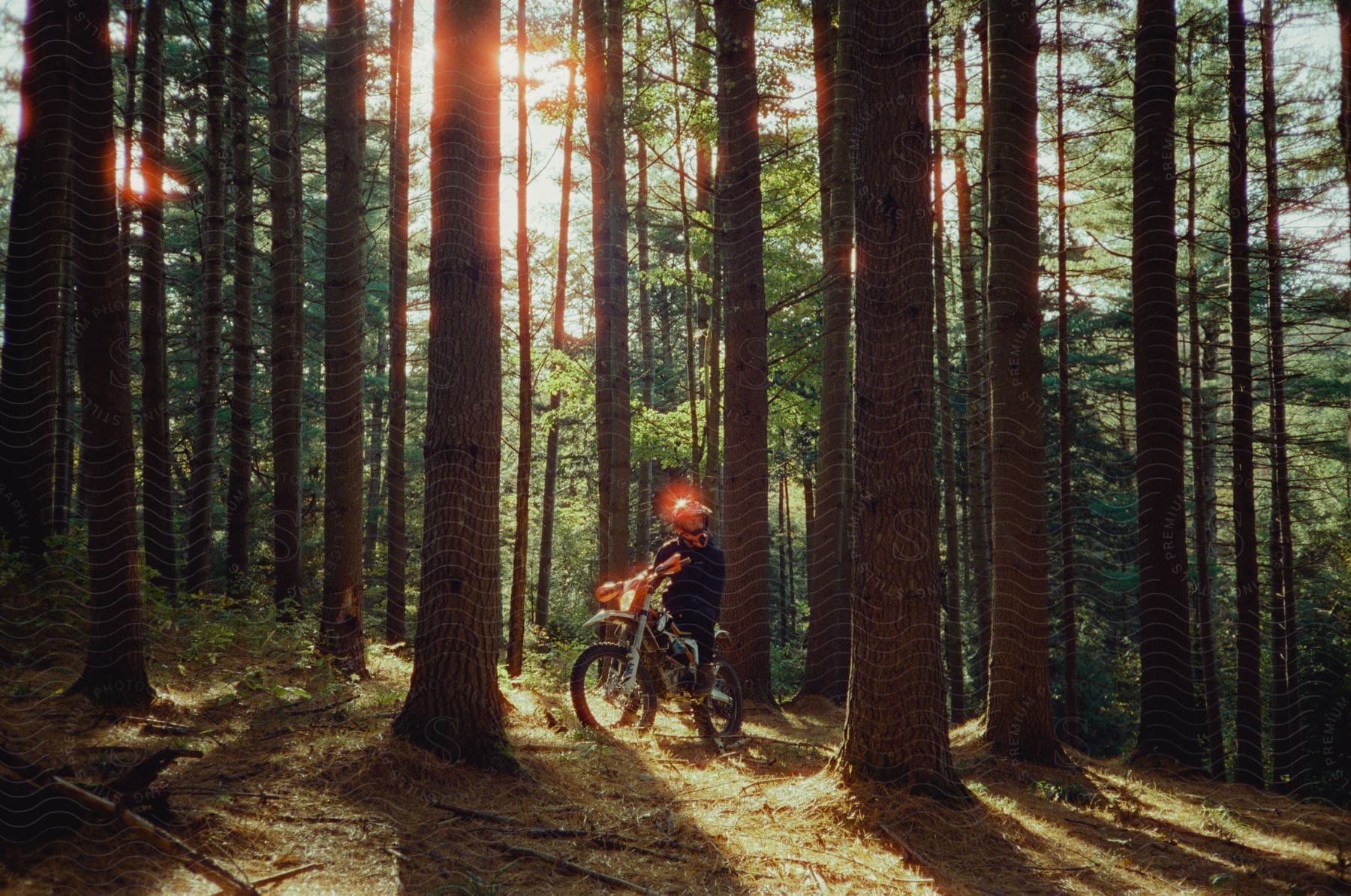 A man in a red helmet rides his motorcycle through a sunny forest, the sun filtering through the trees.