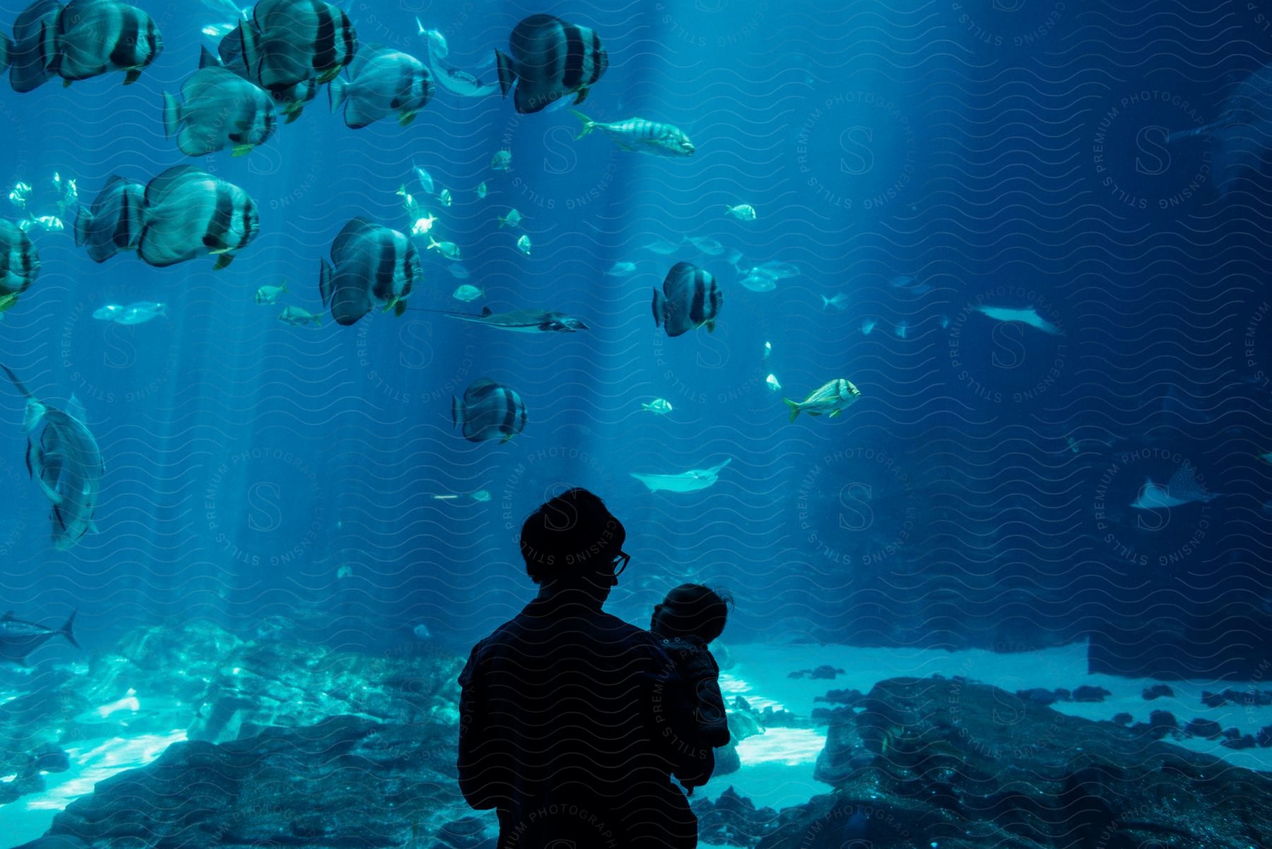 person holding baby stands in silhouette in front of aquarium wall with fish