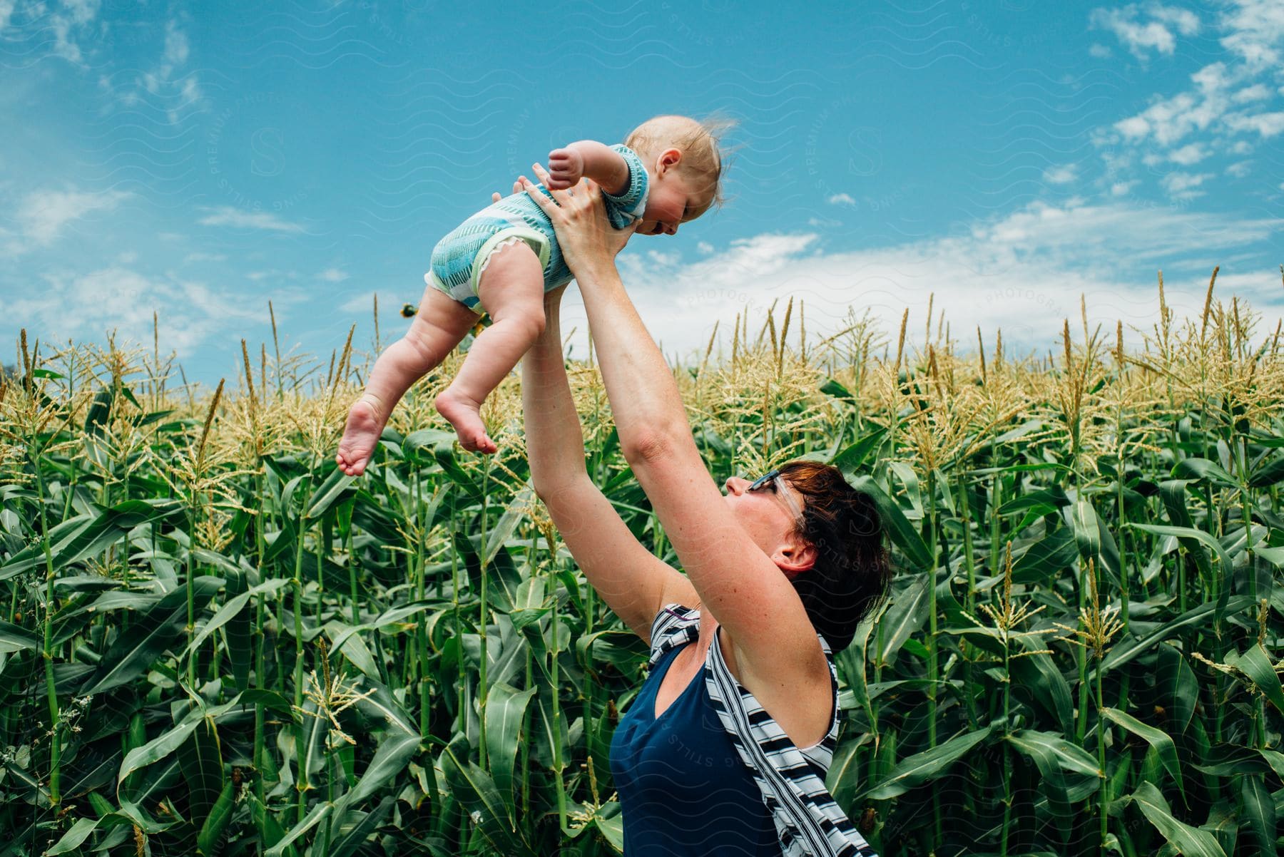 Mother with sunglasses and a blue blouse throws her baby up in the air in the corn field