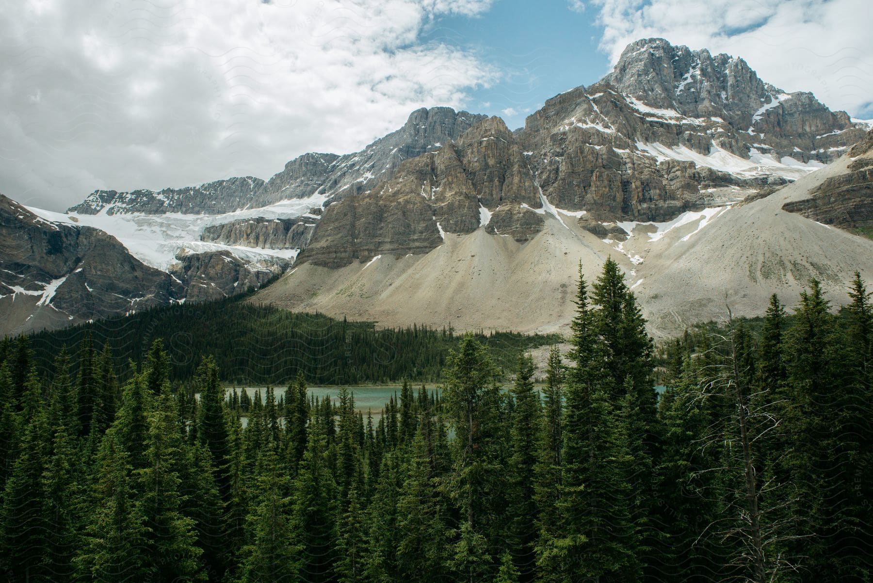 Rocky mountain cliffs capped with snow and pine tree forest below