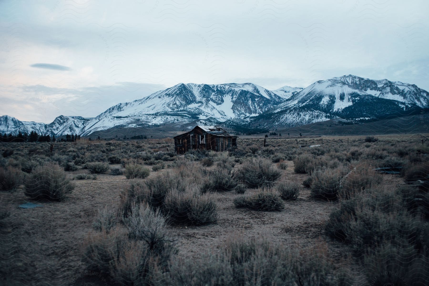 A weathered wooden cabin stands alone in a field, nestled against snow-capped mountains at dusk.