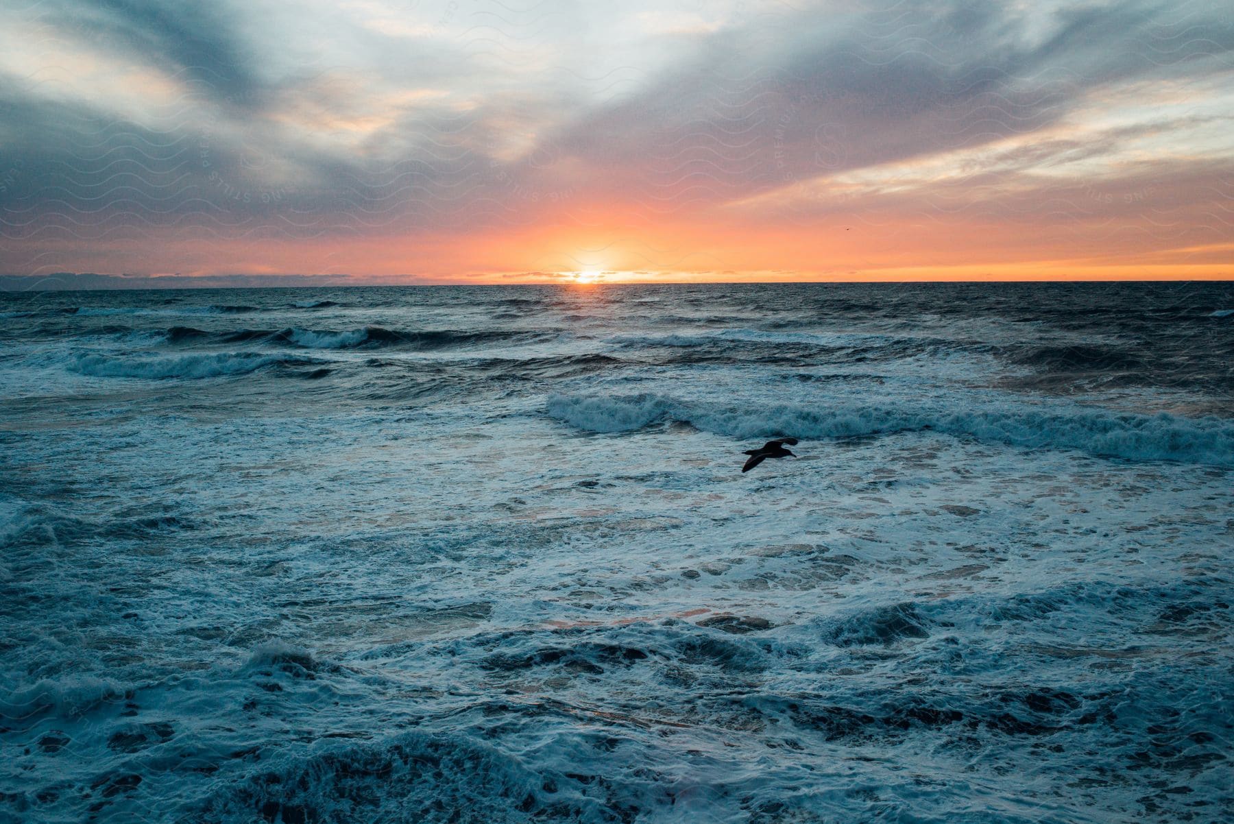 A bird is flying over open water as the sun is setting.