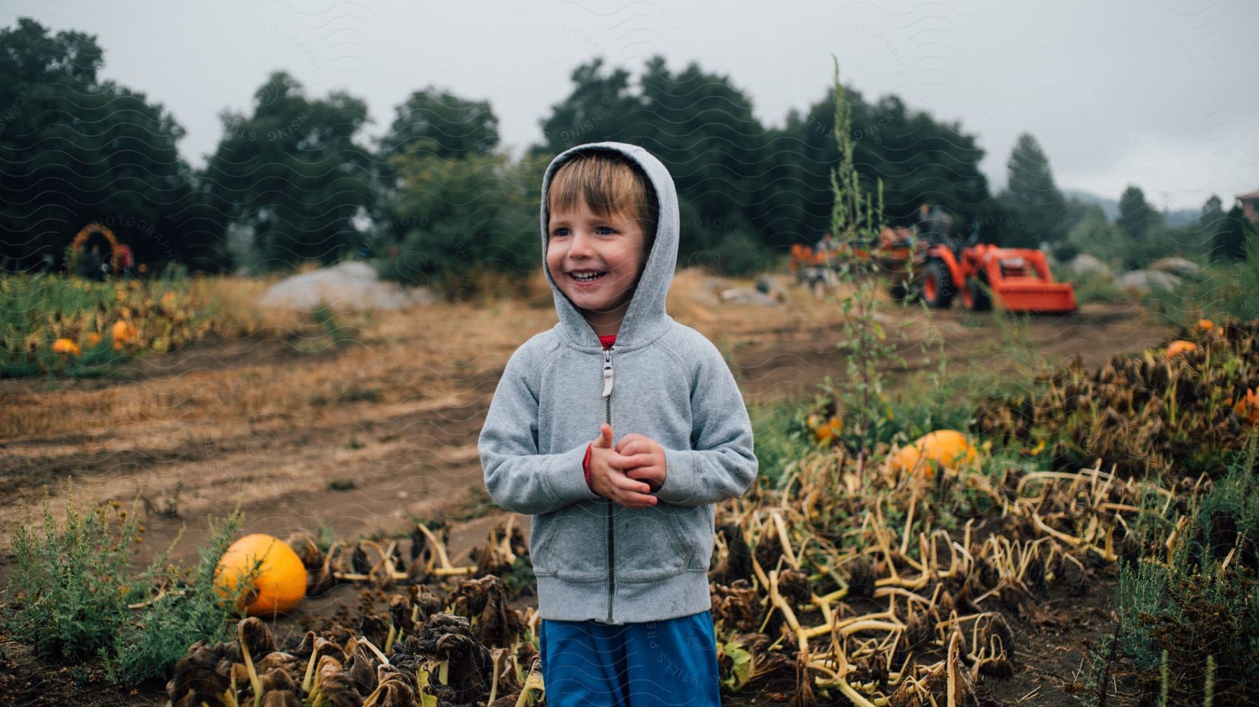 A child in a gray coat in a pumpkin patch.