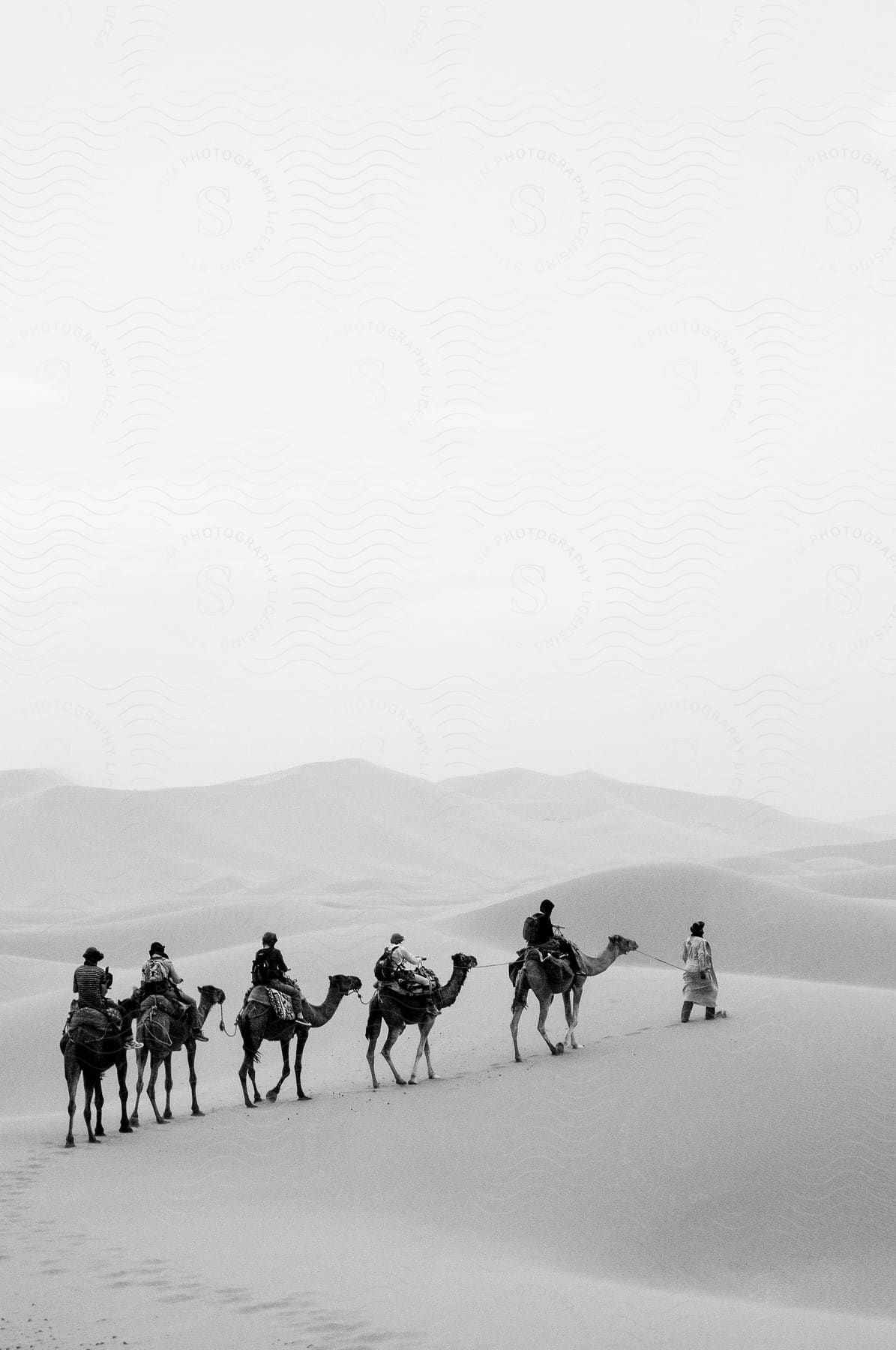 A caravan of camels and riders led by a walking guide in the desert