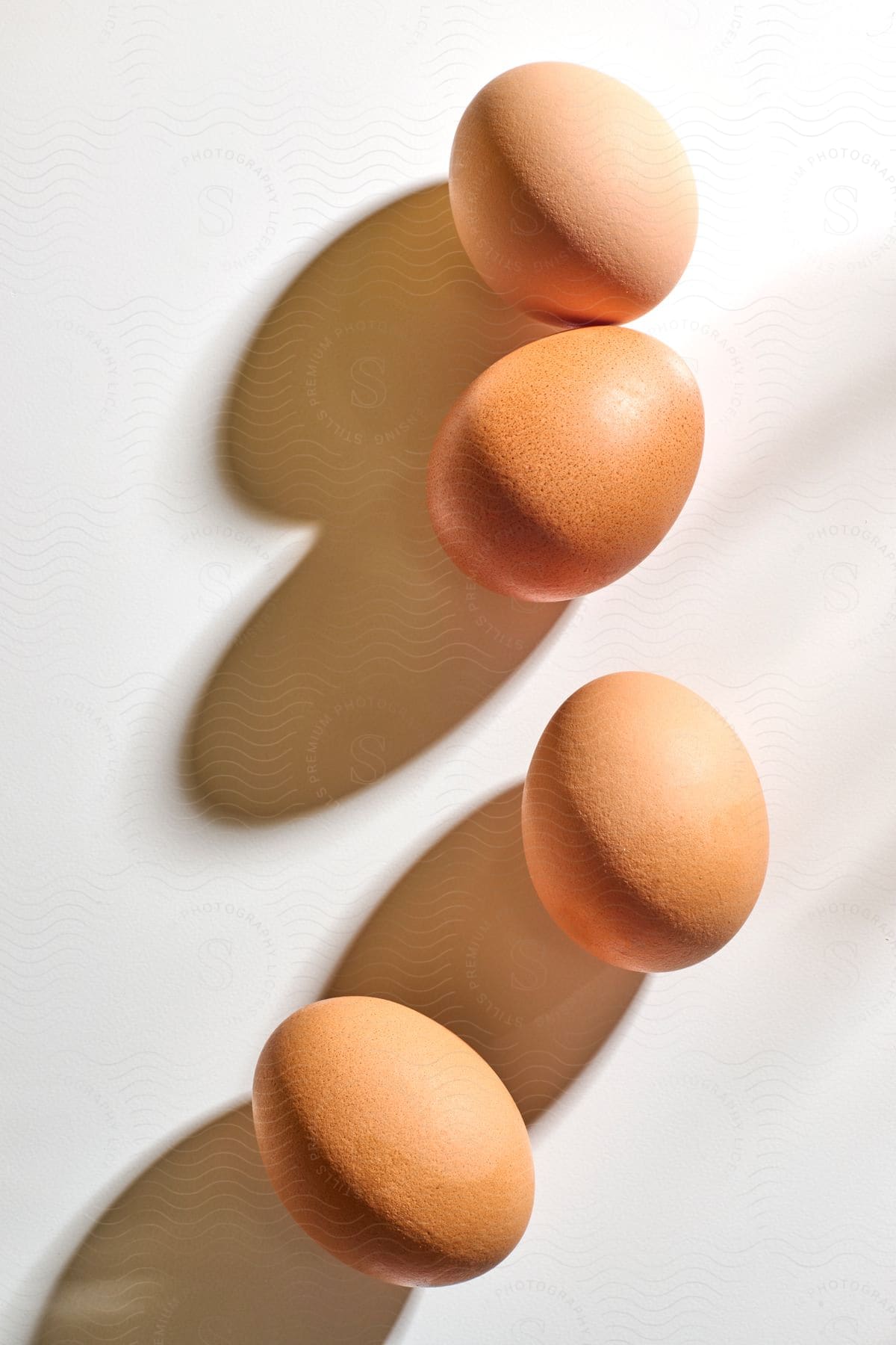 Still life of brown eggs on a white background.