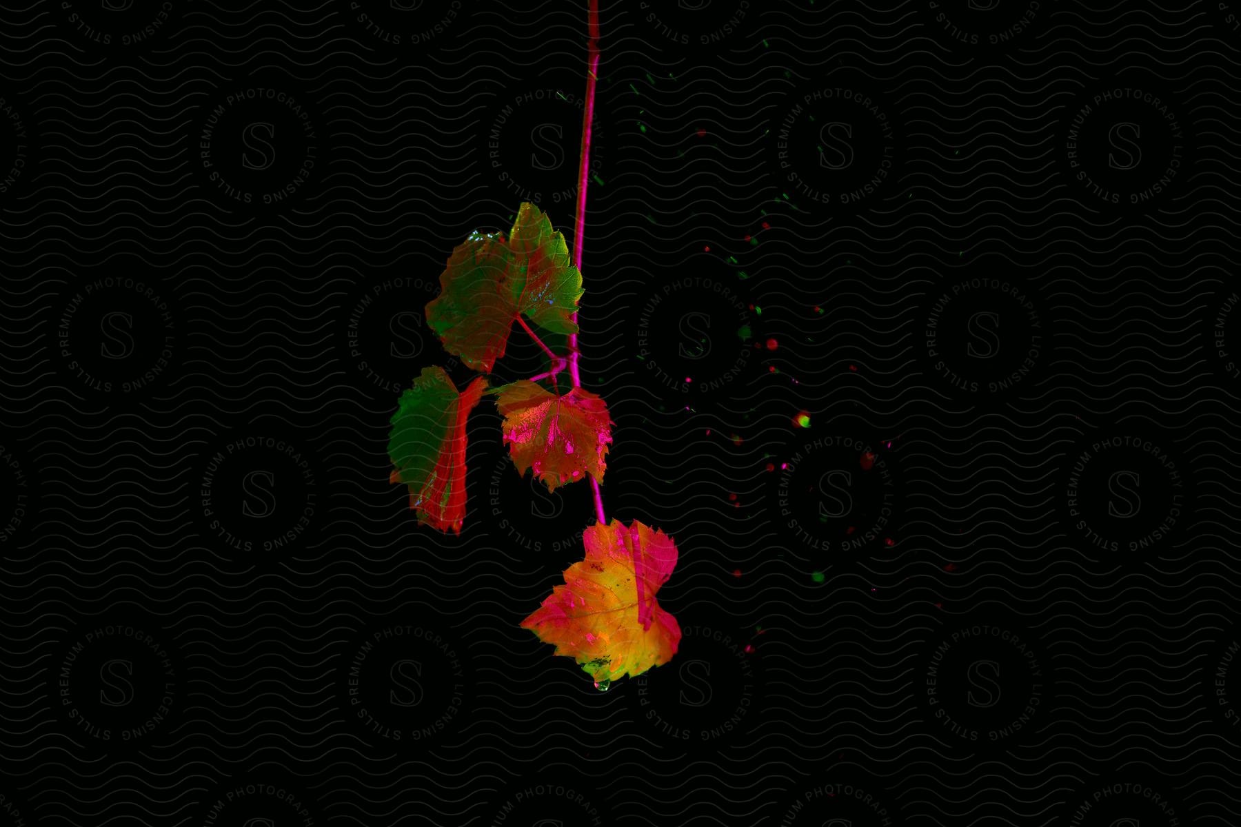 A digital painting of a bunch of leaves painted with fluorescent paint on a black background.