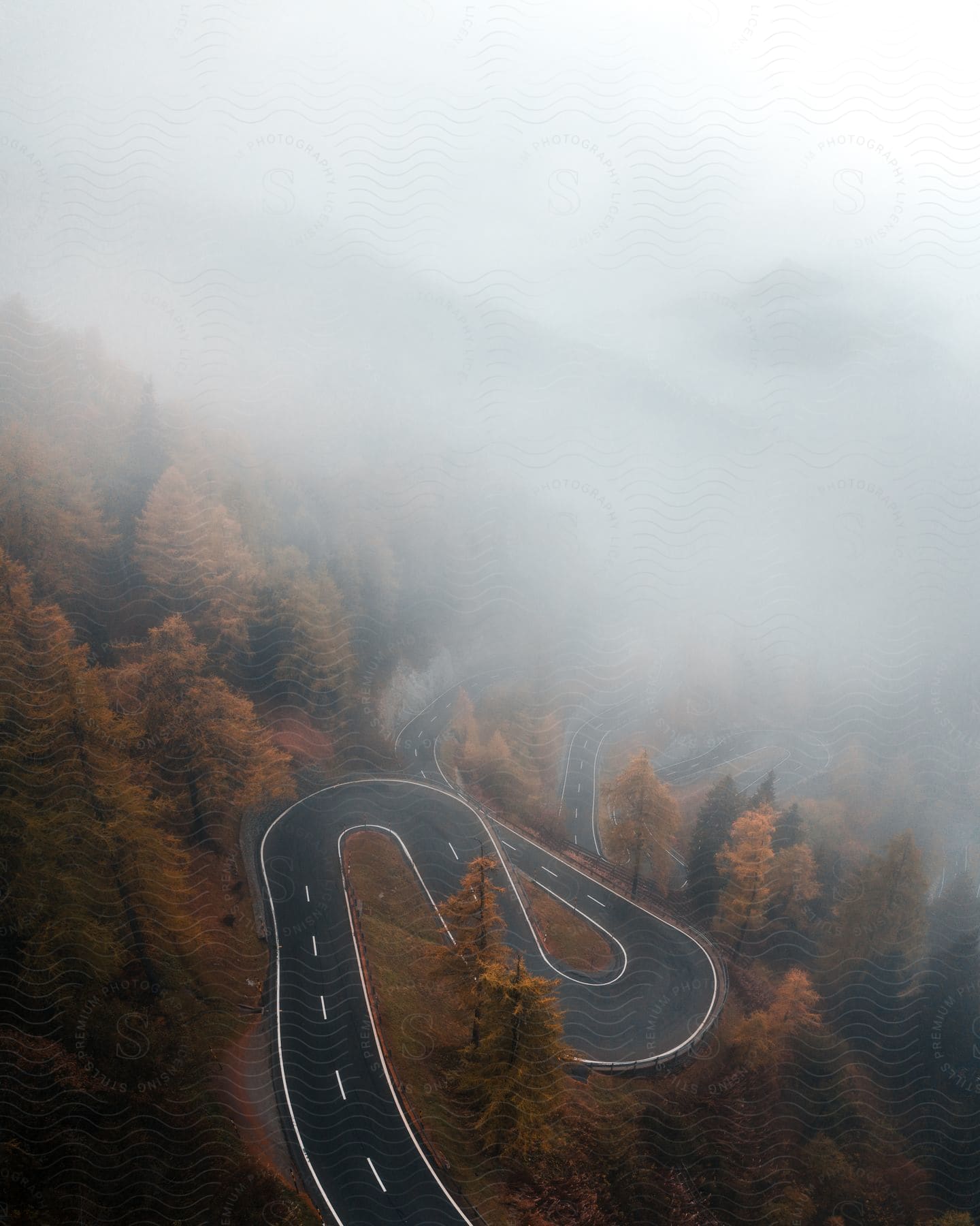 A foggy mountain road winds through orange autumn trees.