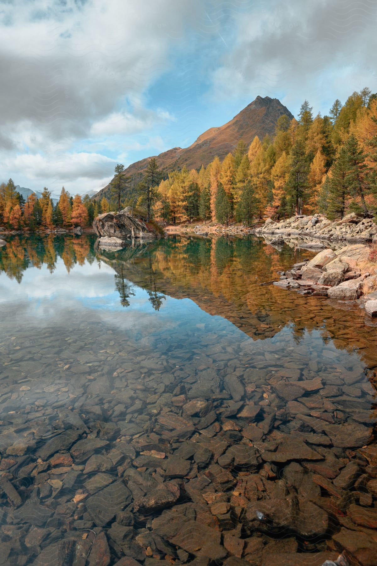 A clearwater lake is surrounded by a forest of trees in fall colors reflecting on the water with mountains in the distance