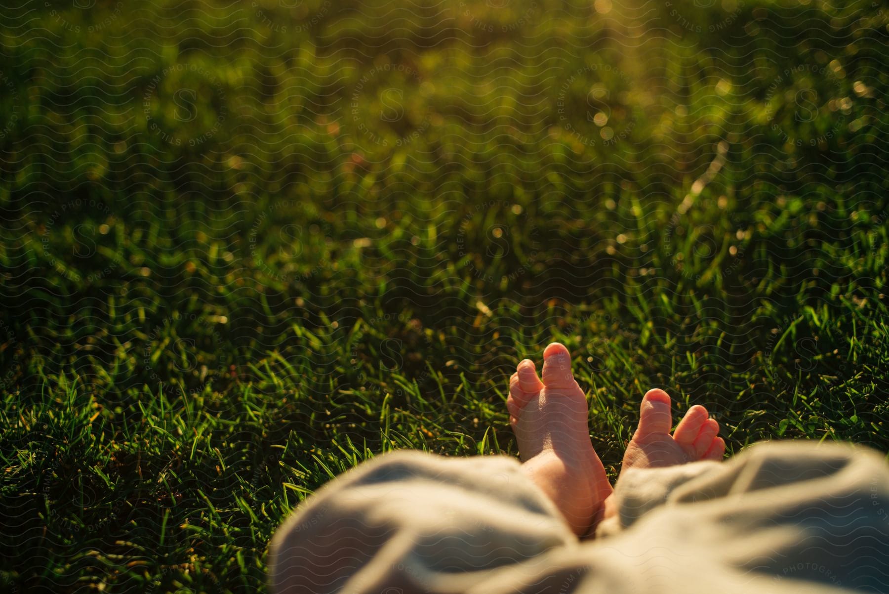 Young child lies in field of grass on sunny day.