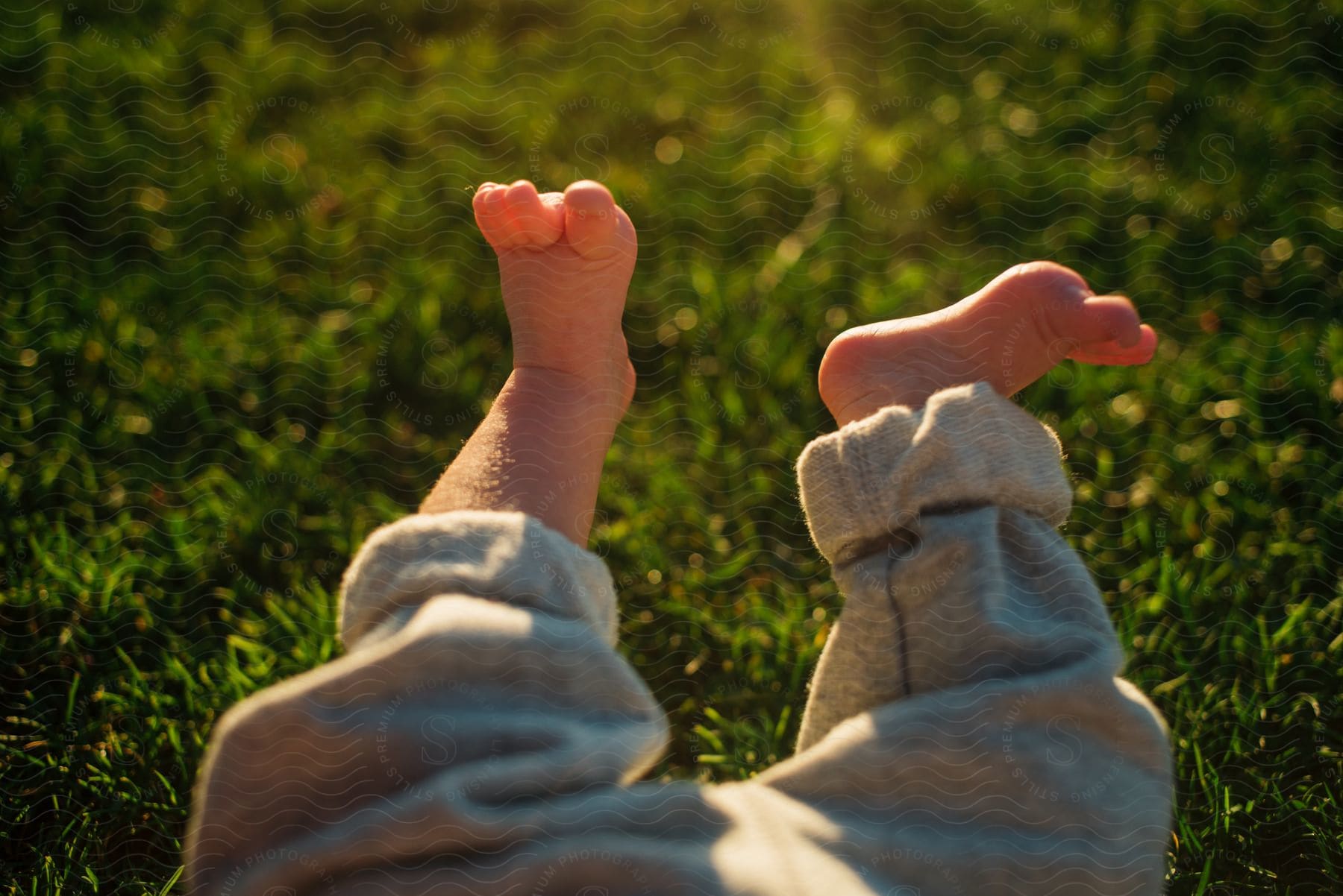 Close up of newborn baby’s feet lying on the green grass