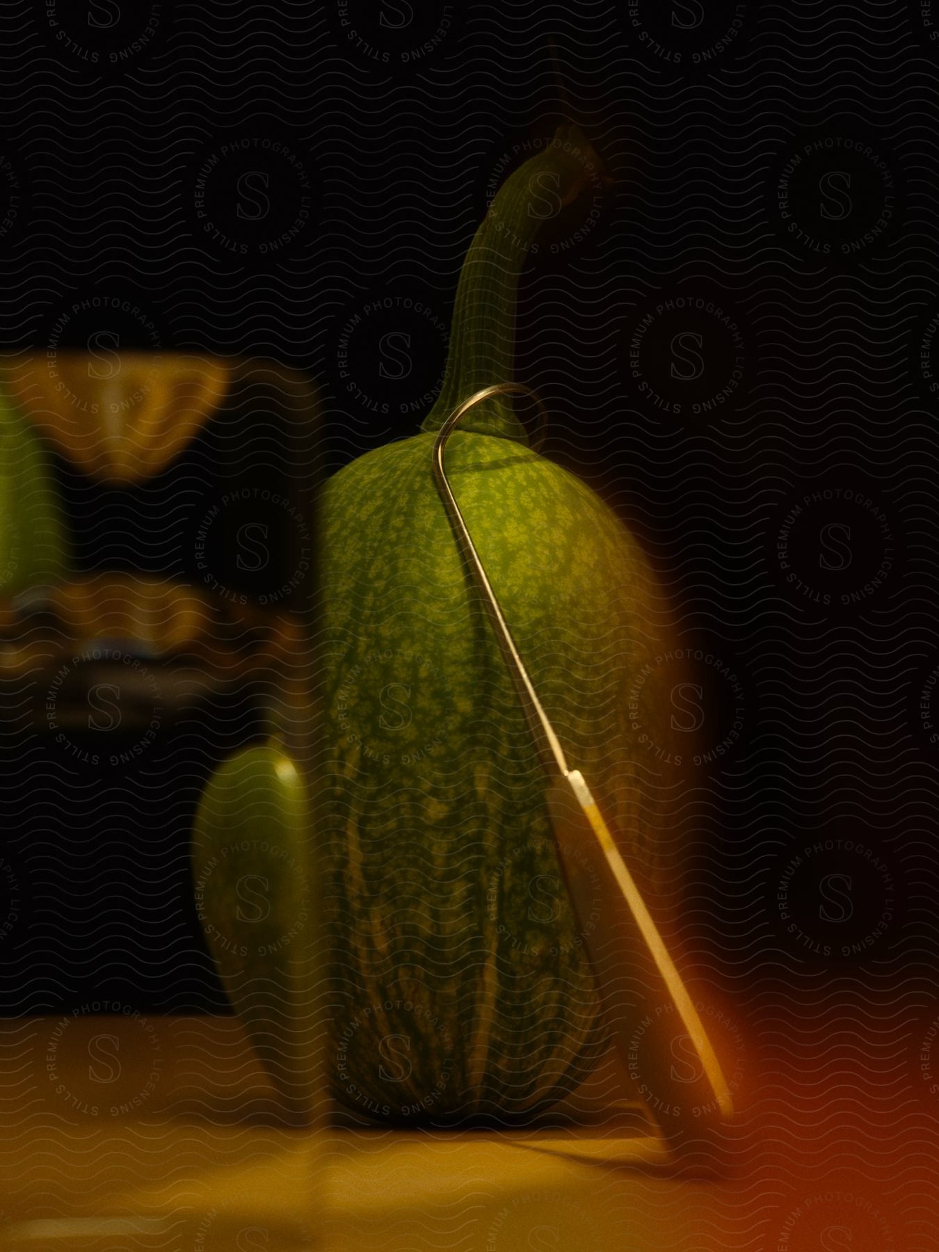 Still life of a green melon.