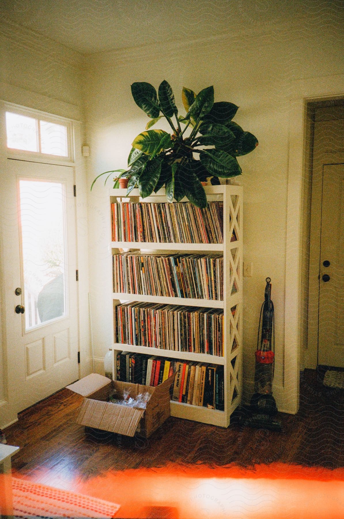 Filled bookcase sits near door on hardwood floor partially covered by orange.