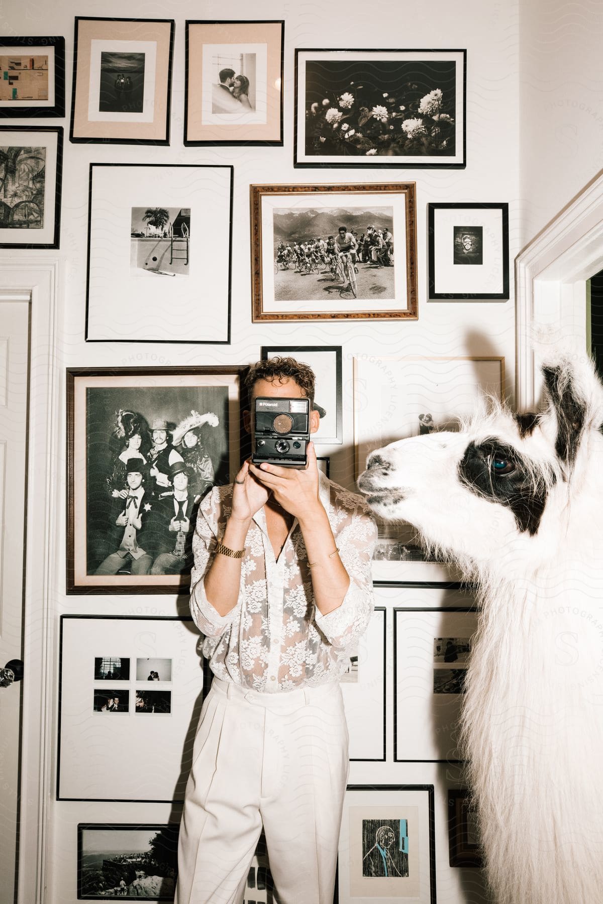 A stylish man in white stands before a wall of framed photographs, his face obscured by a Polaroid camera. A black-and-white llama grazes nearby.