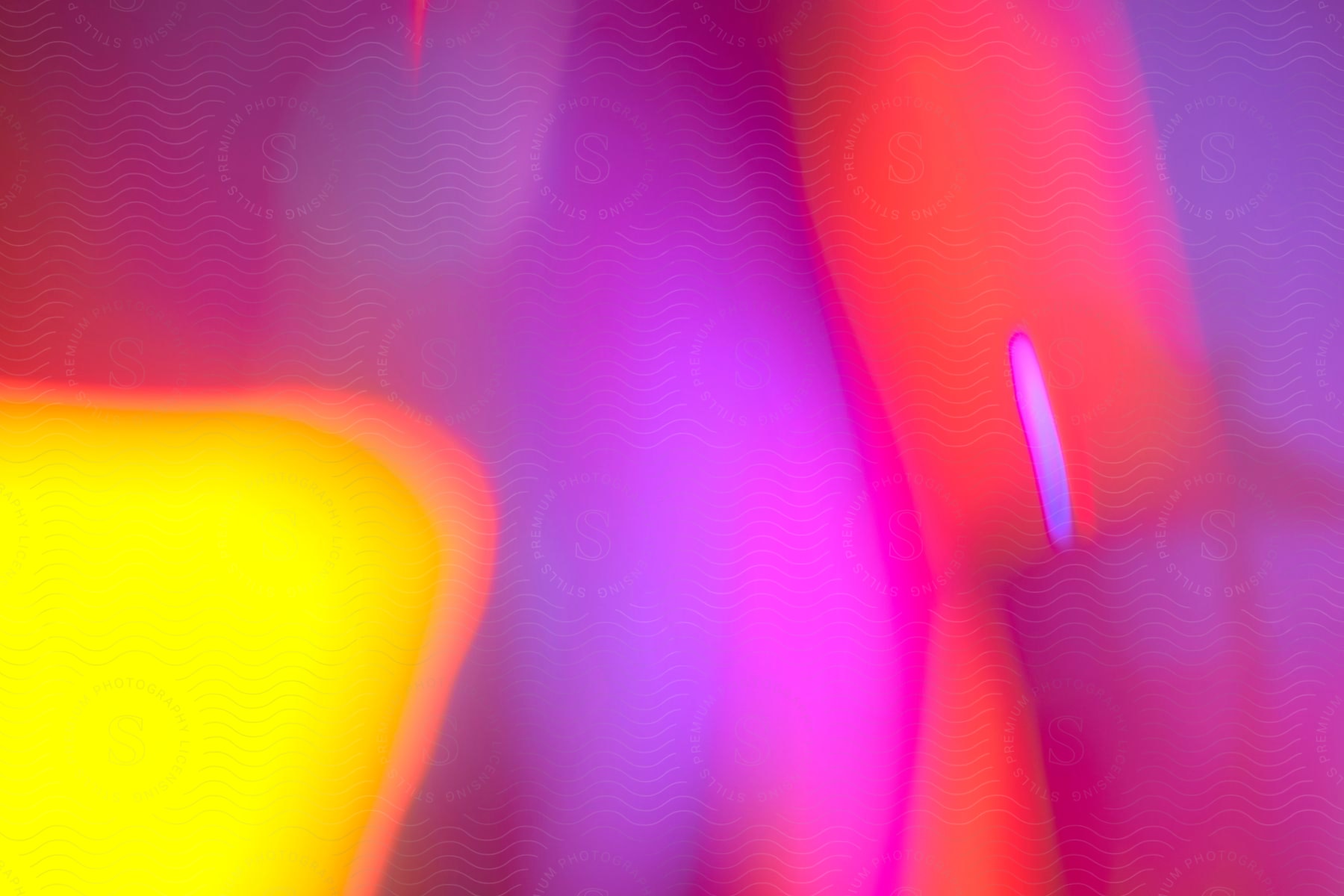 Abstract and colorful neon blurry lights