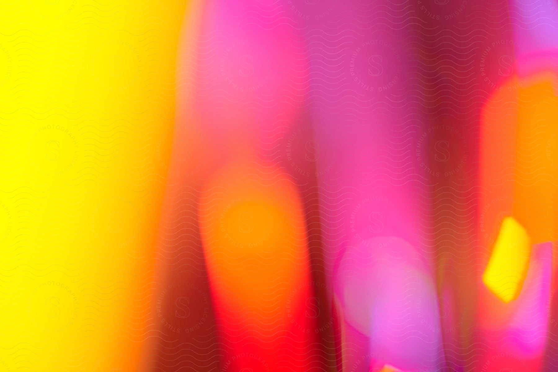 blurry light of different colors including yellow, pink and red